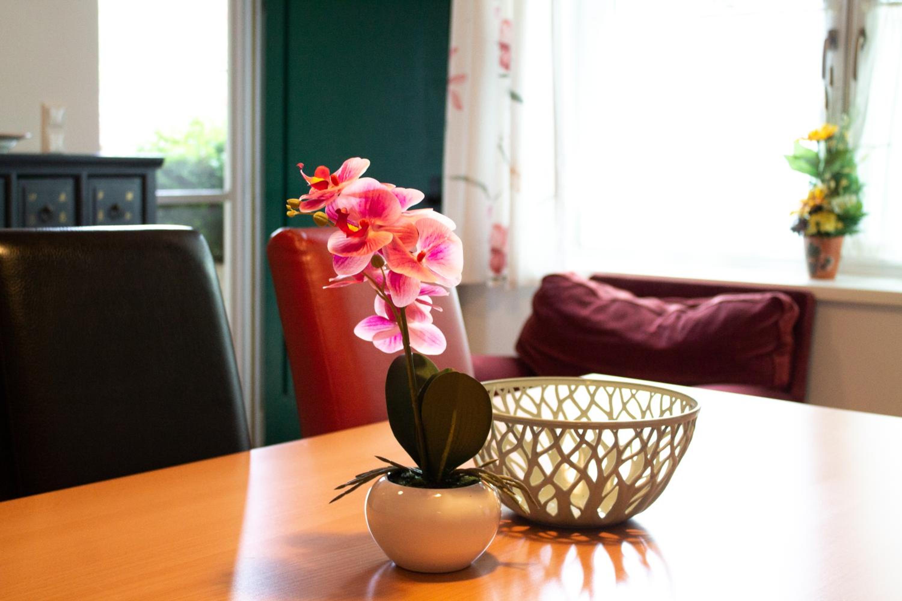 Ferienwohnung Koppi view 4
