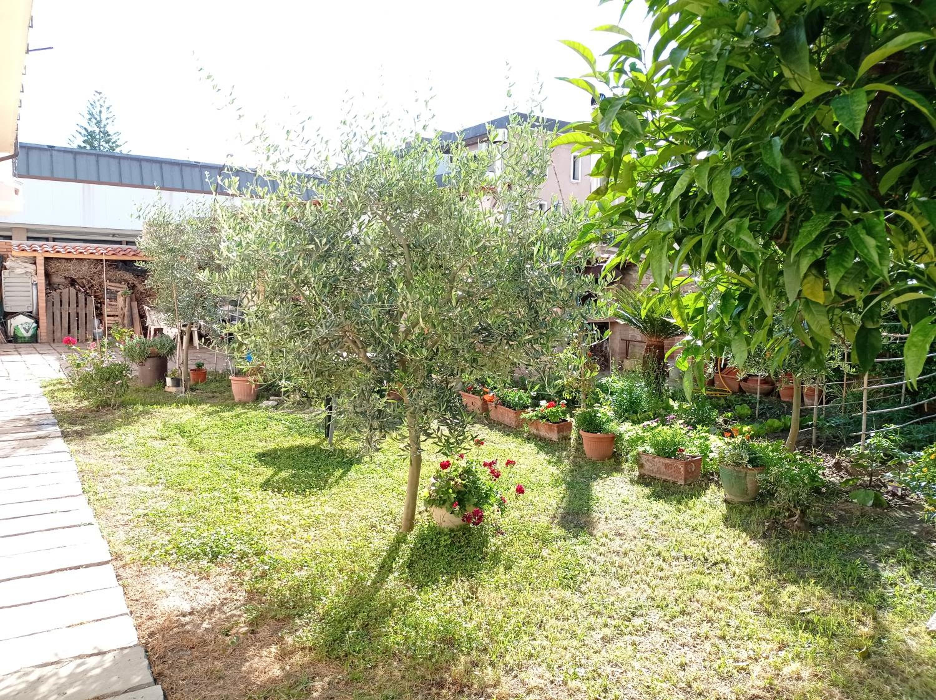 appartamento a due passi dal mare photo 2