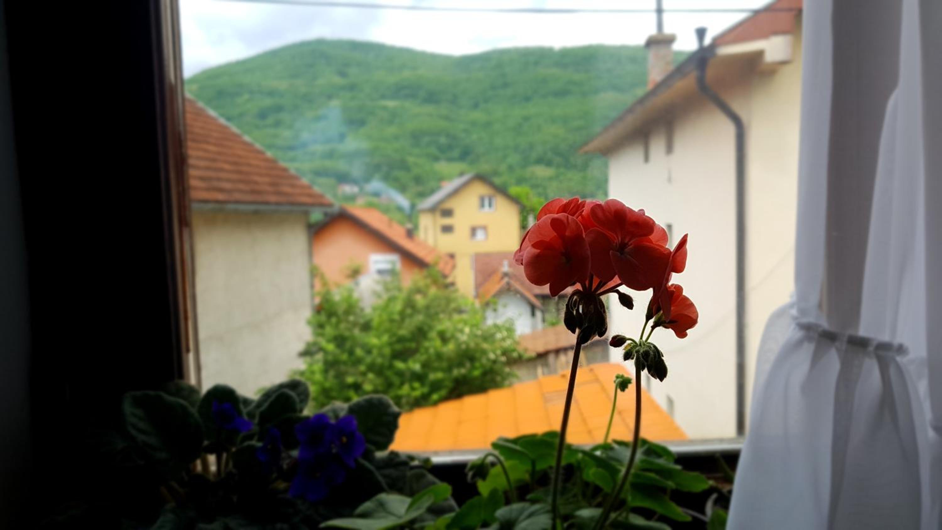 Apartman Jovanović