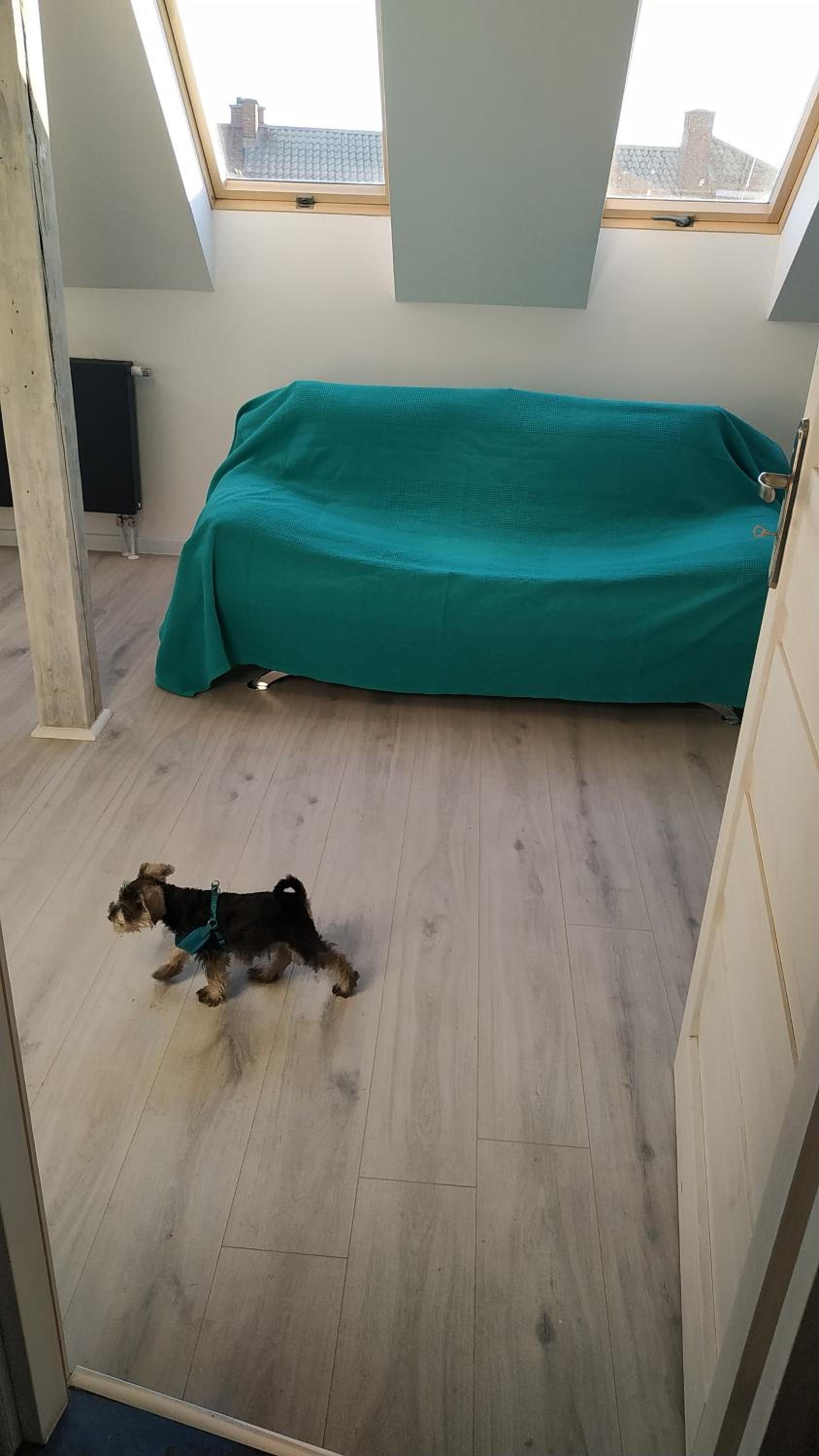 Photo 12
