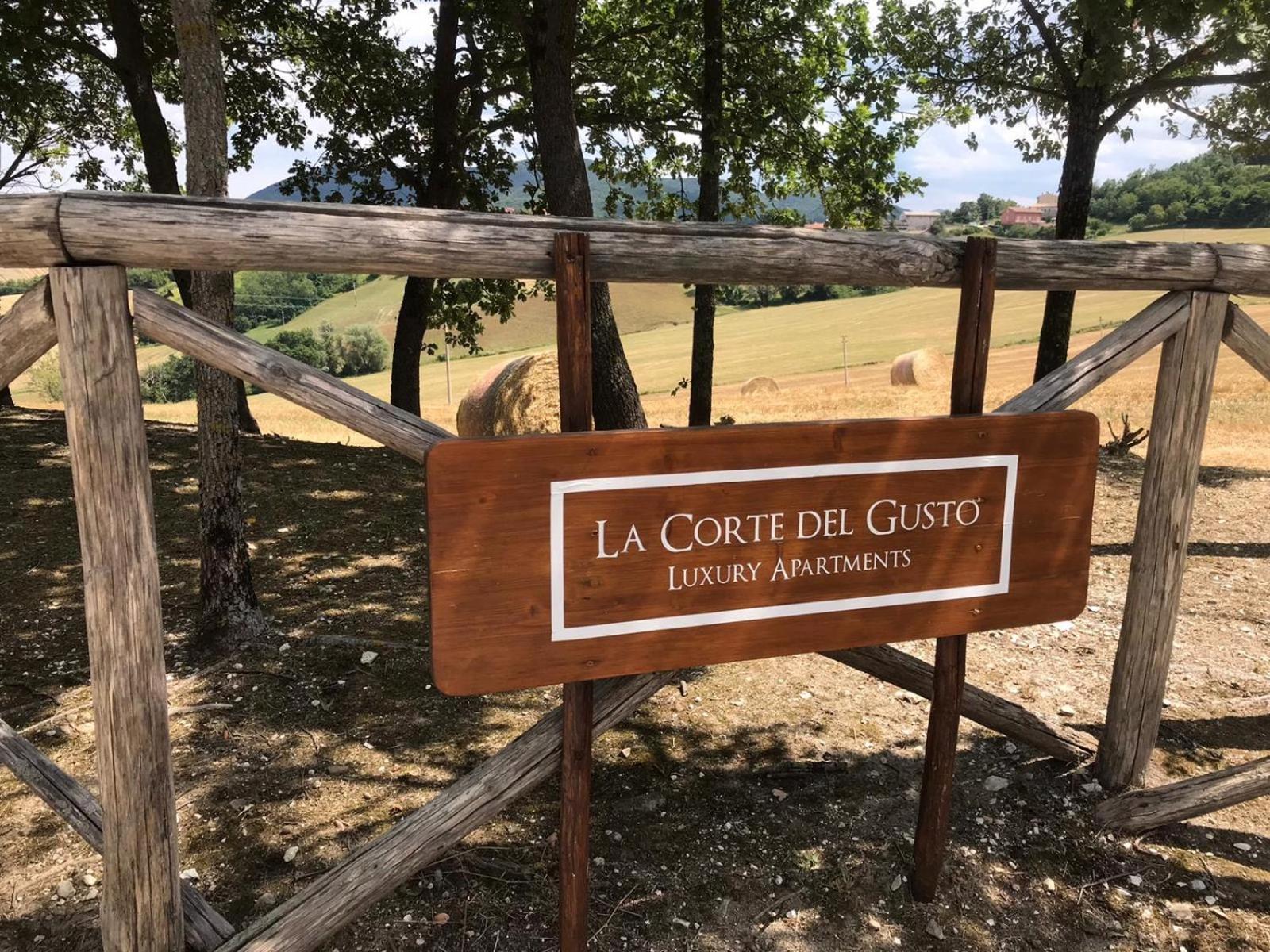 Photo 65
