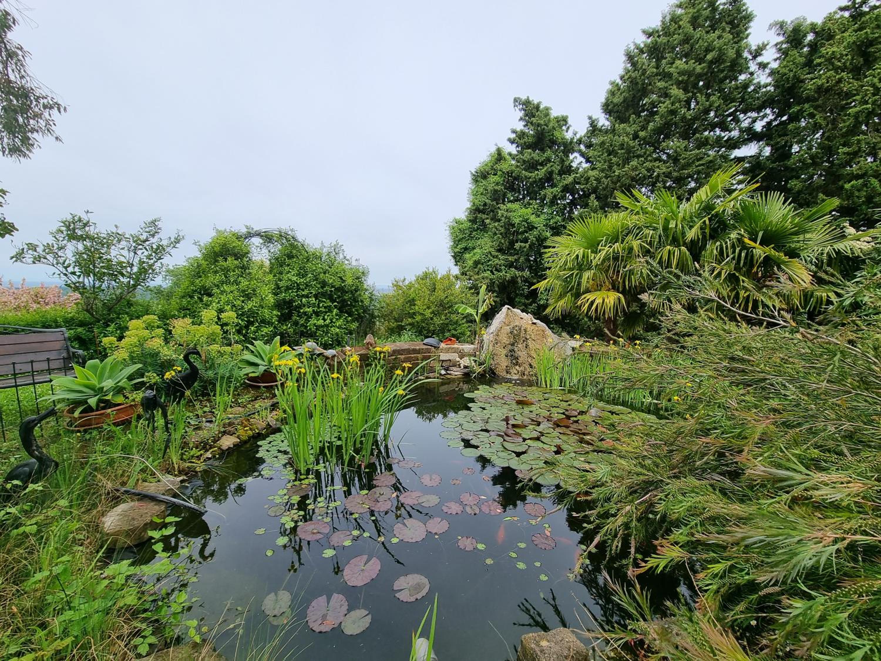 Garden apartment view 3