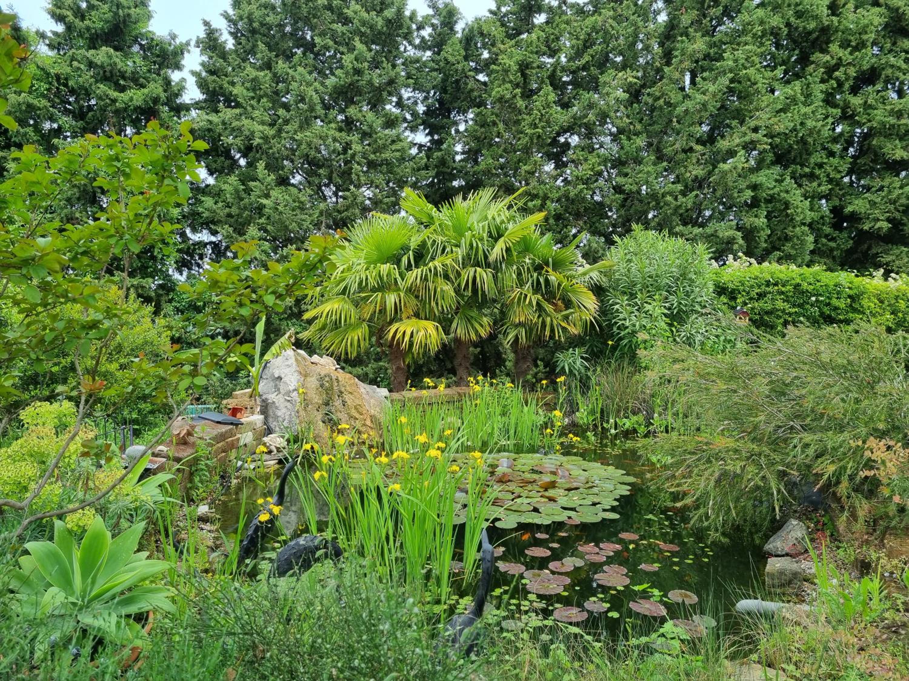Photo 21