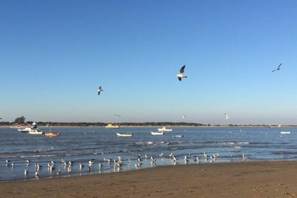 Sanluquear en el Guadalquivir photo 1