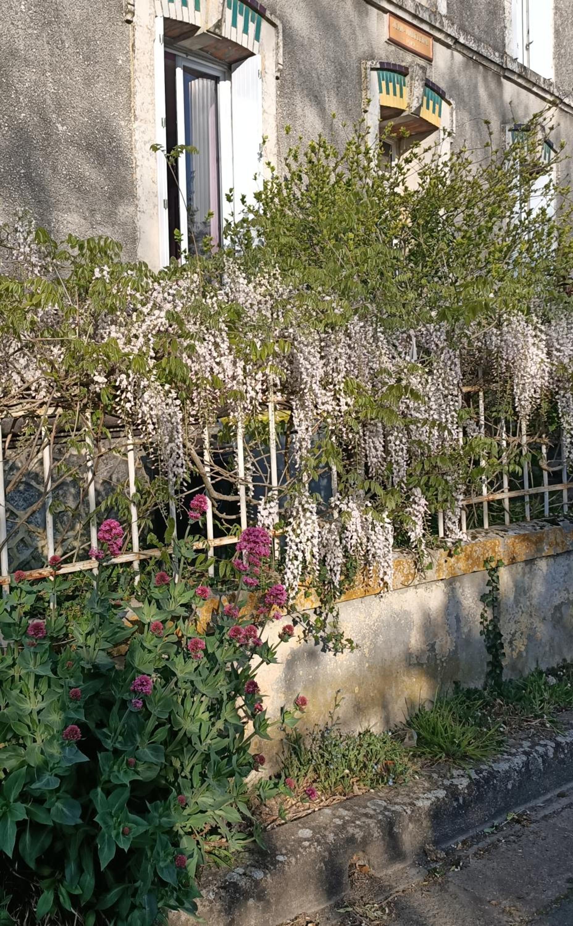 L'Angelique view 2