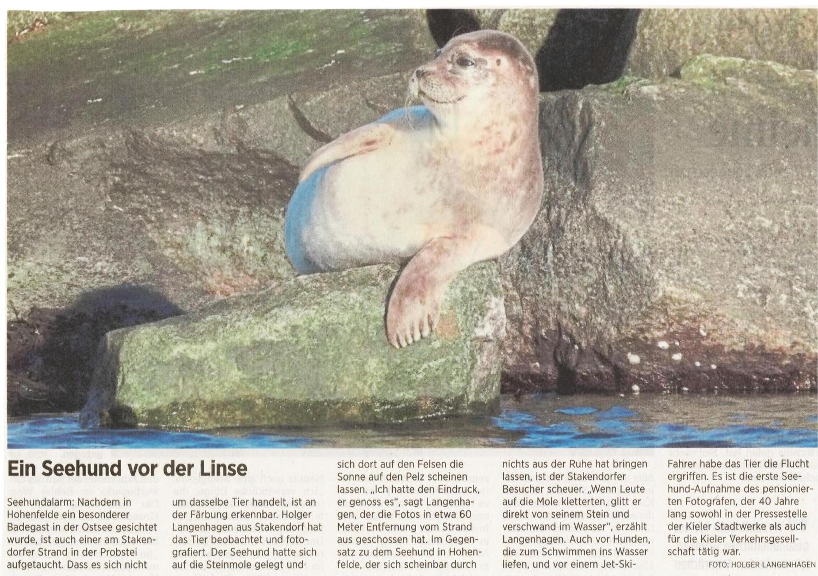 Ostsee Robbe