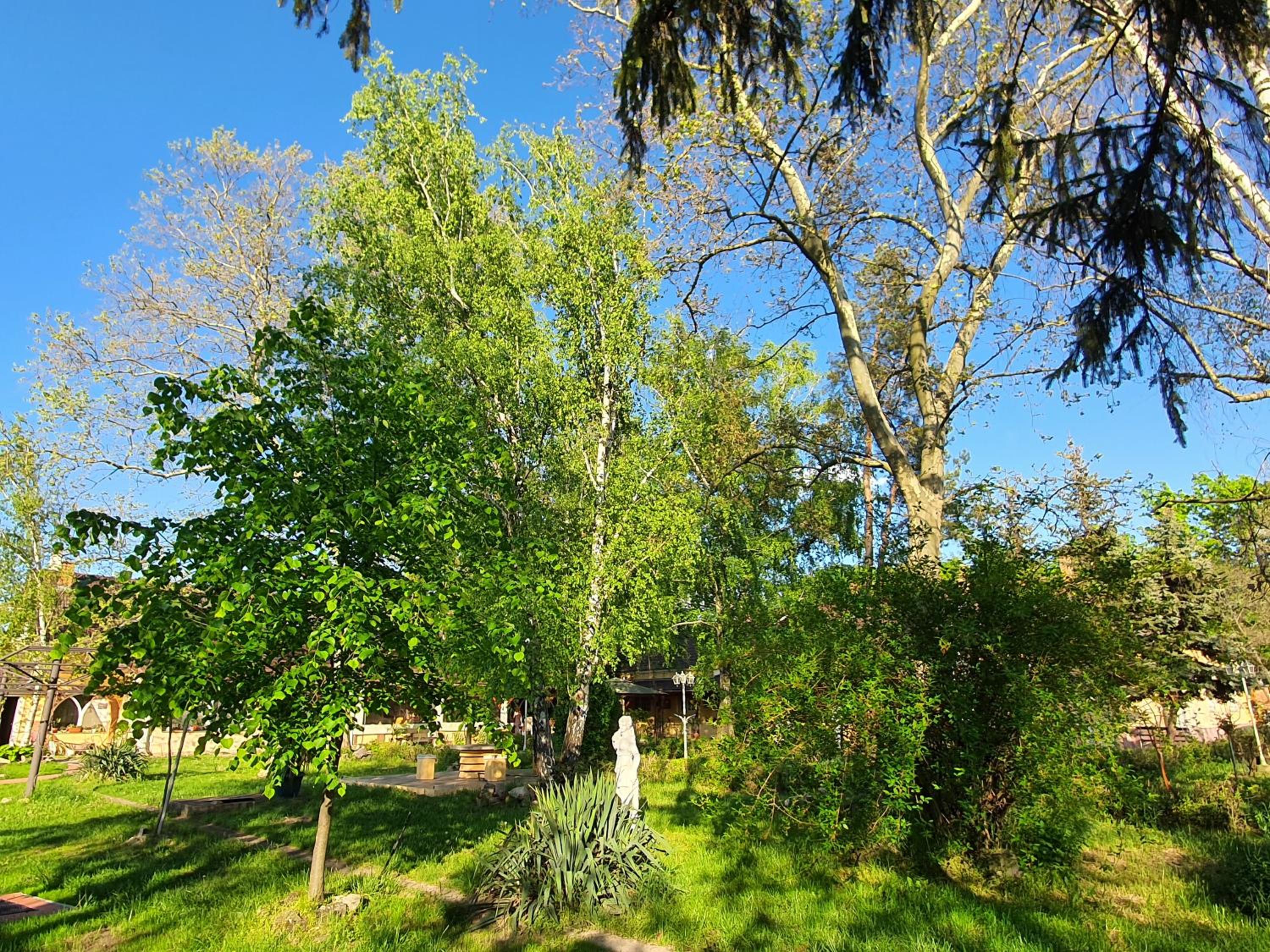 Photo 49