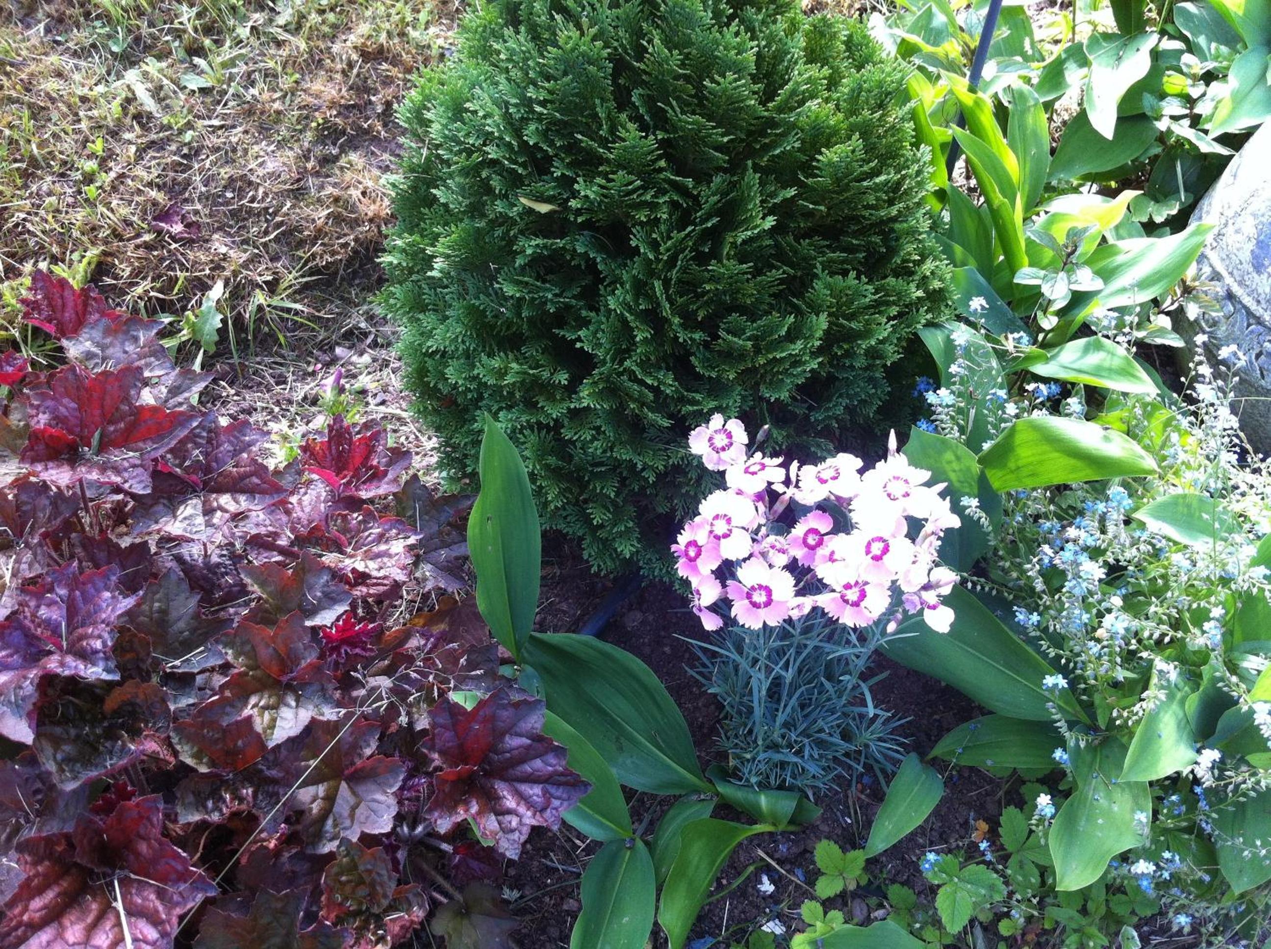 Photo 17