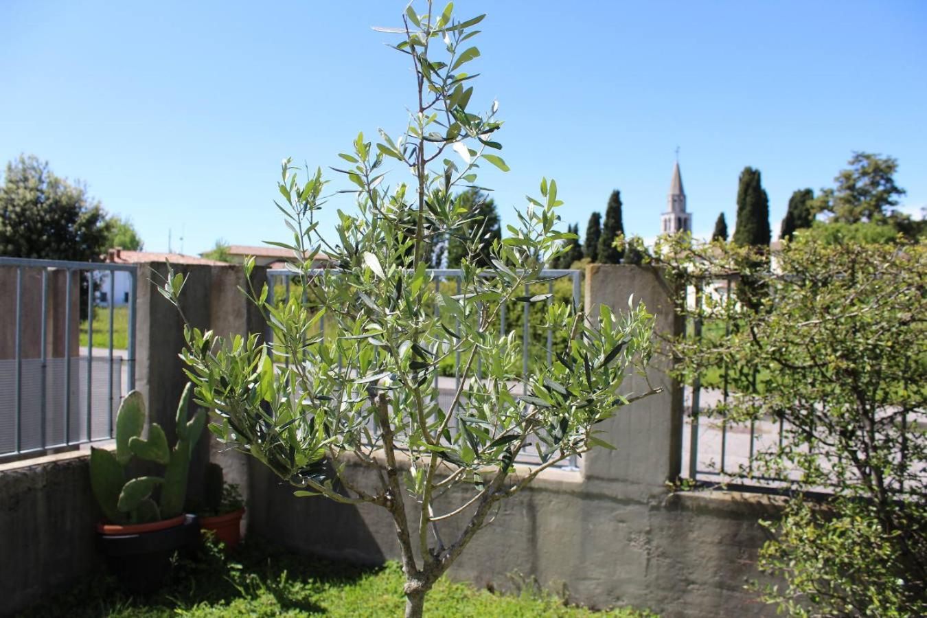 Villa Madi view 5