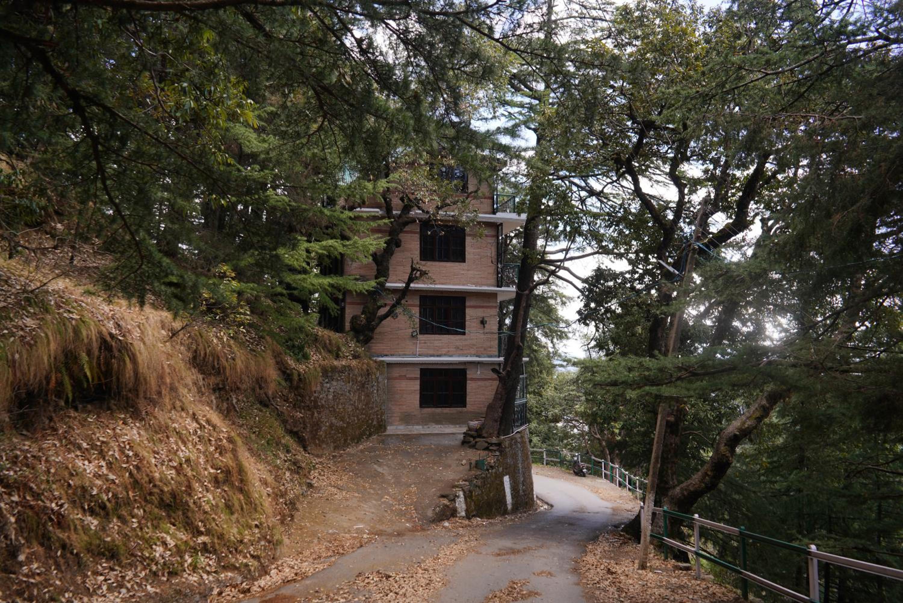 Jakhu Vibes view 5
