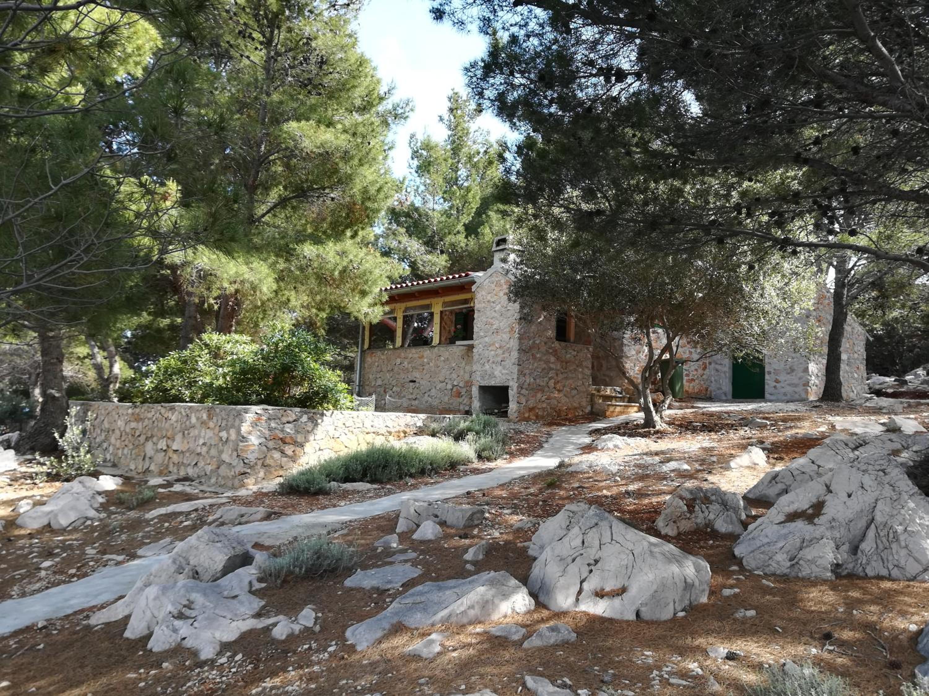 Photo 41