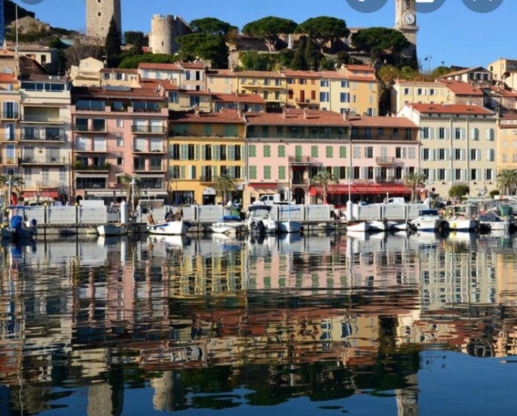 À deux pas du Palais des Festivals , deux pièces dans le bas du quartier historique du Suquet à Cannes photo 4