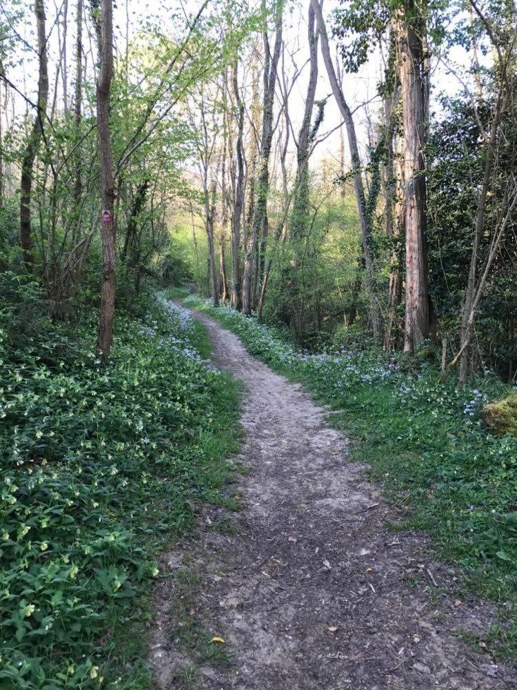 chambres d'hotes Labatut - Property Image 2