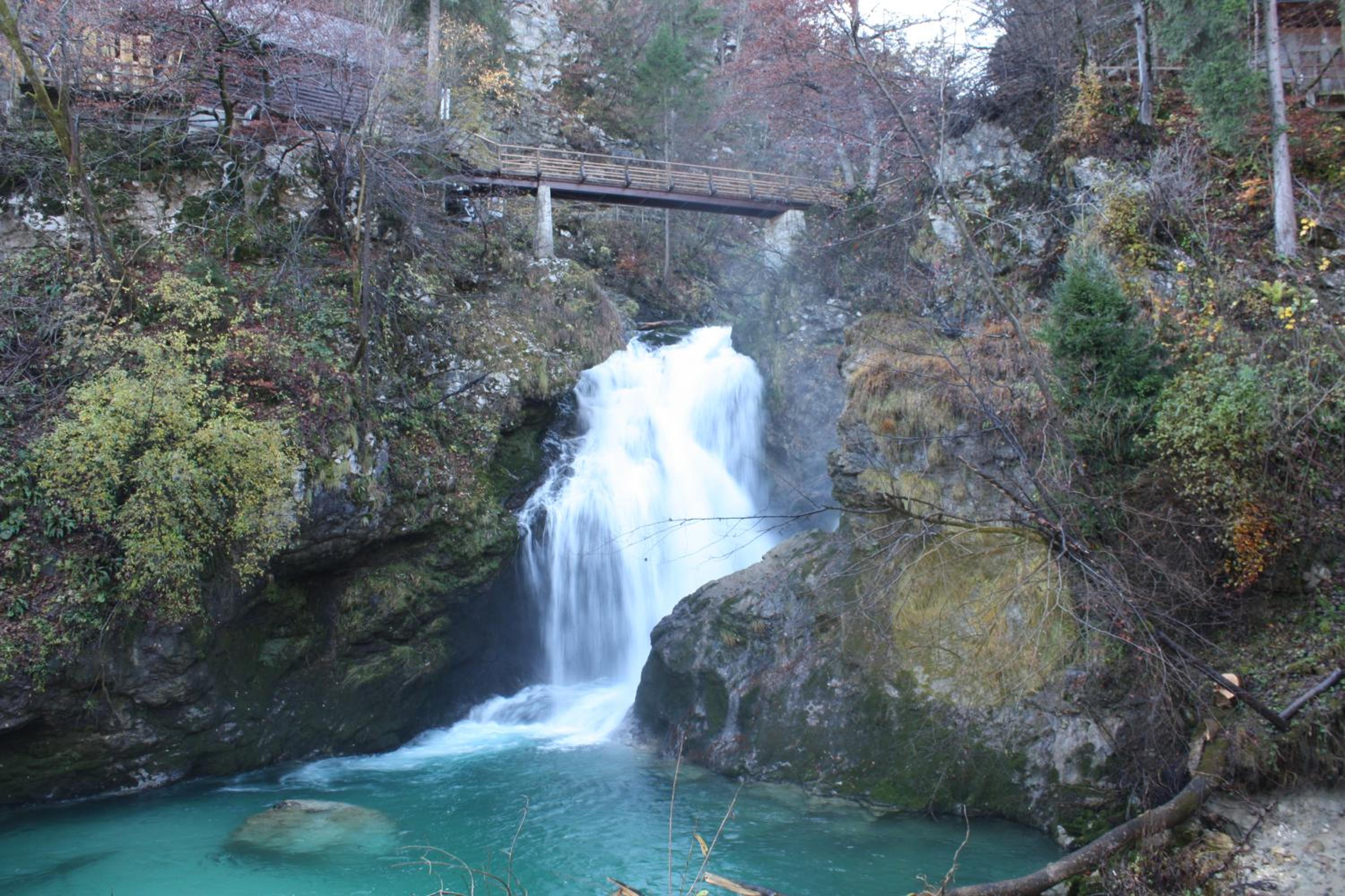 Photo 43