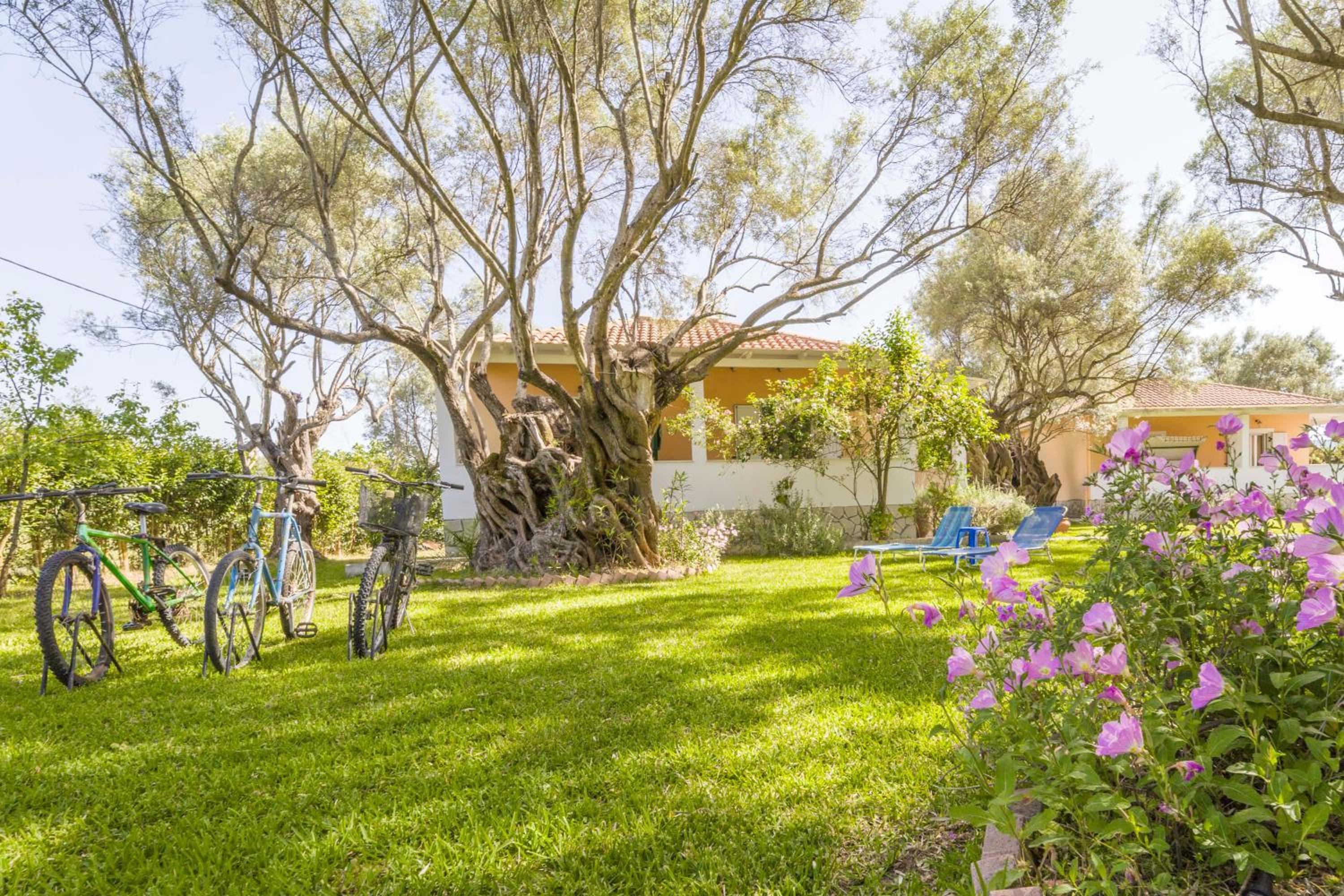 Villa Hector