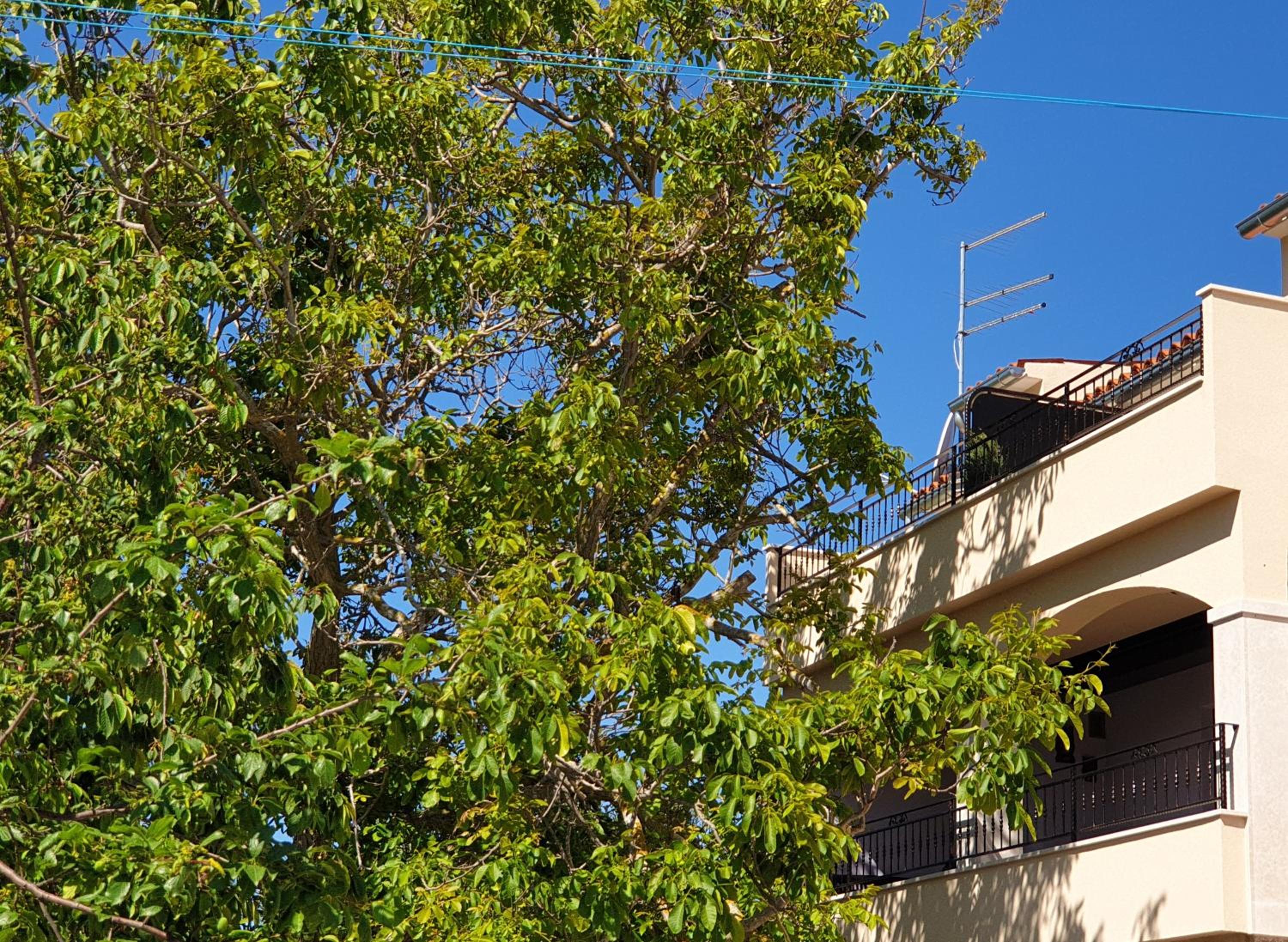 BOUTIQUE ROOMS Mare Fabulas