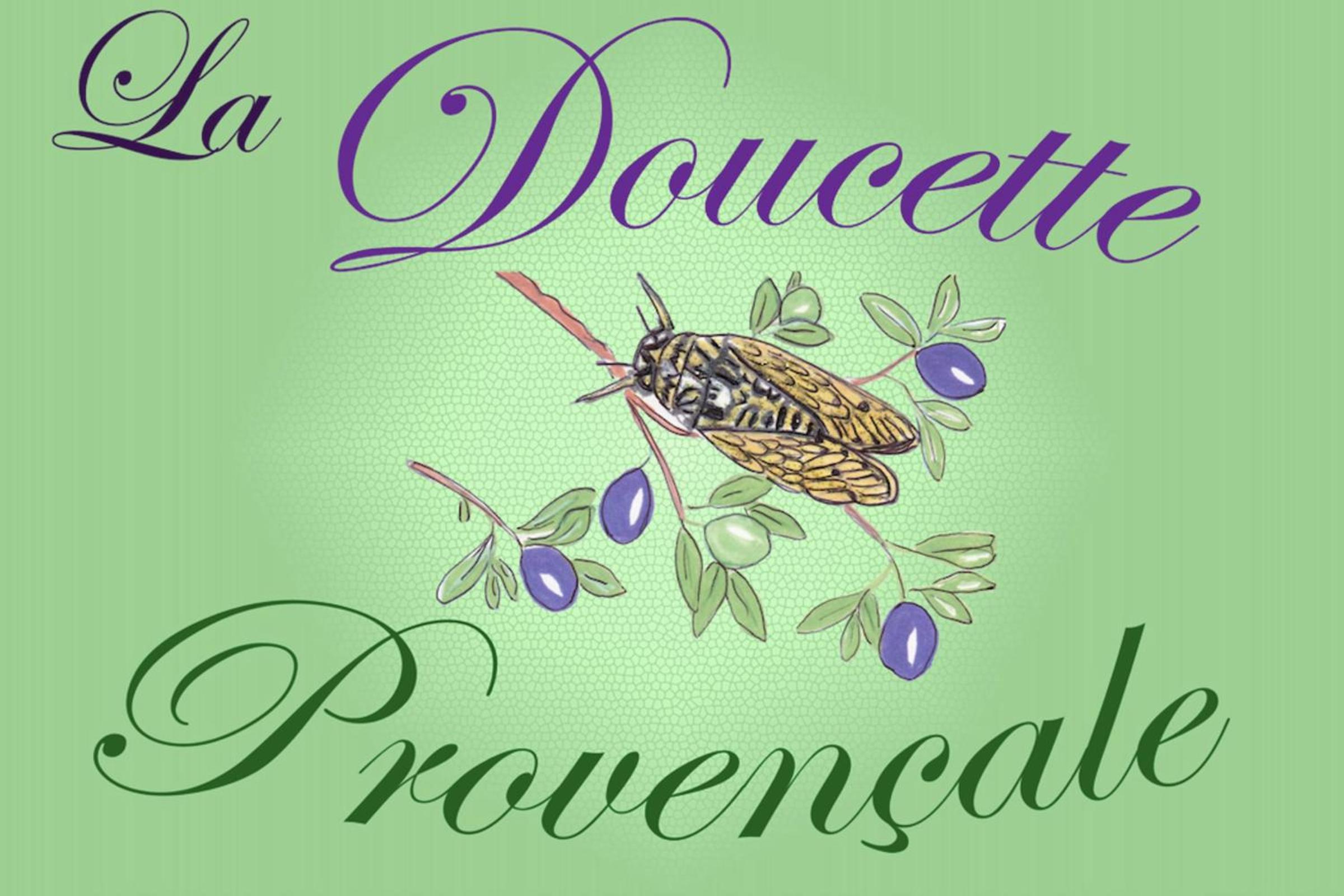 La Doucette Provencale Cozy Nest In Avignon view 2