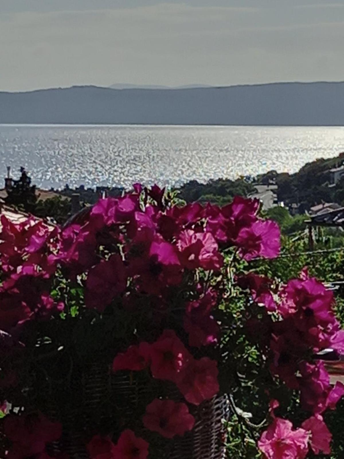 Garfild 1 Guest House view 2