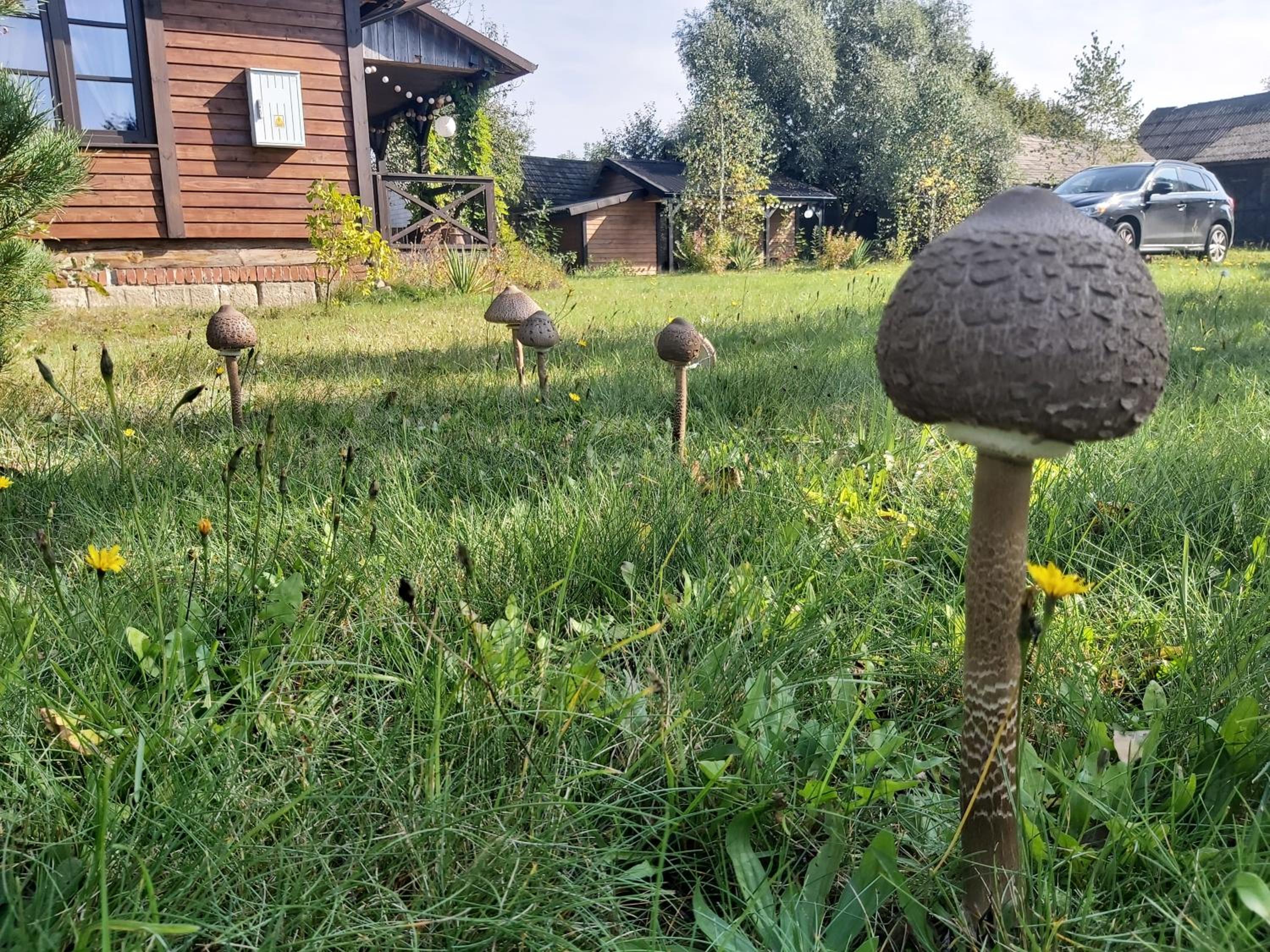 Agroturystyka Banachy 50 view 5