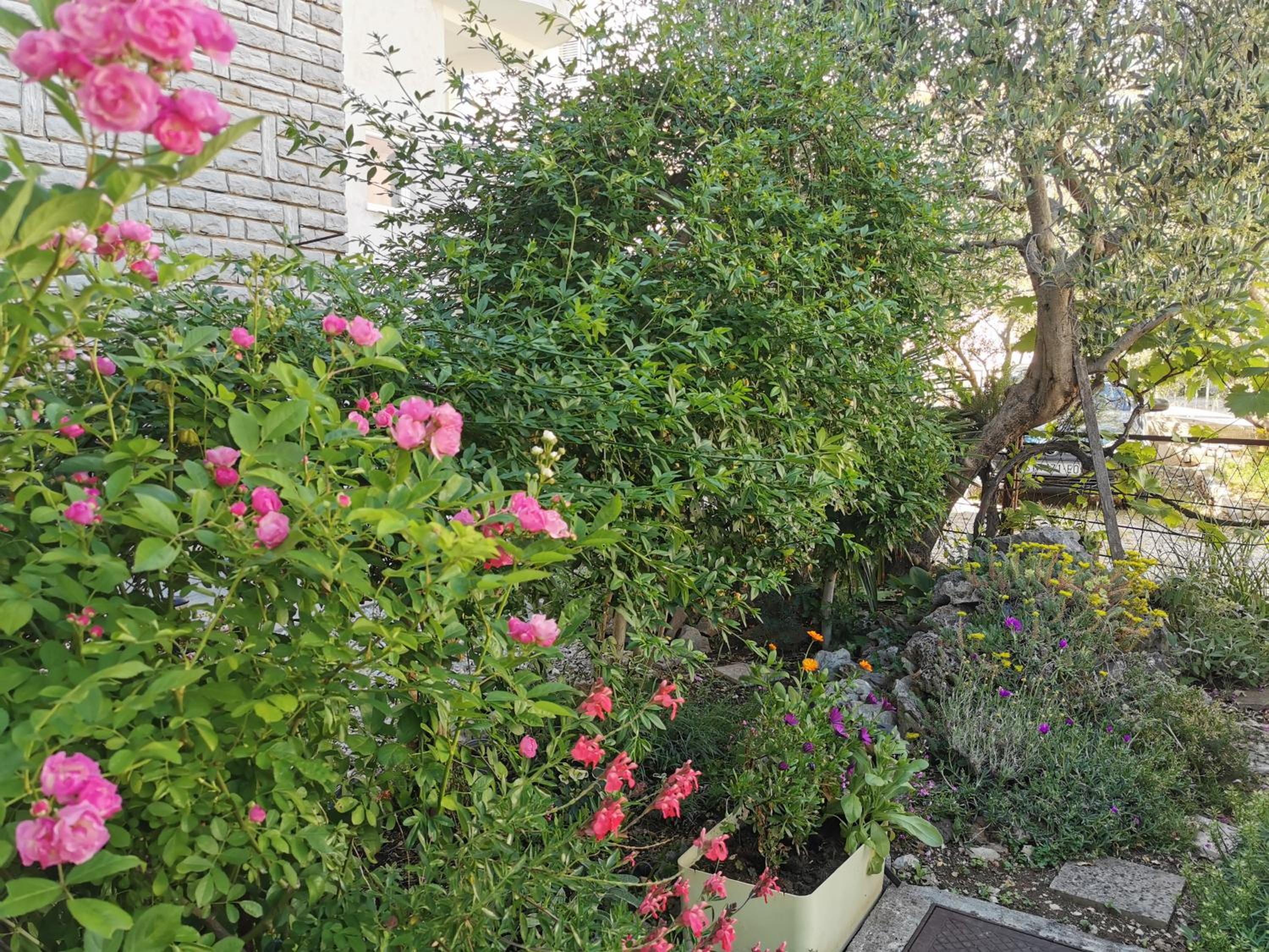 Photo 24