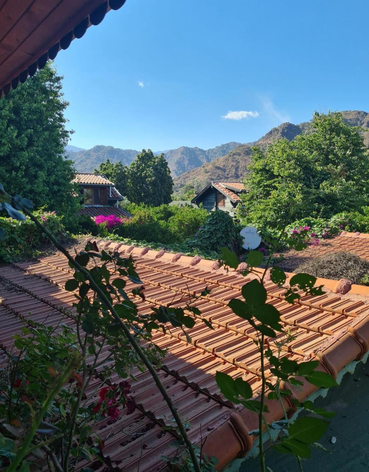 Flora Pansiyon Çıralı - Image 69