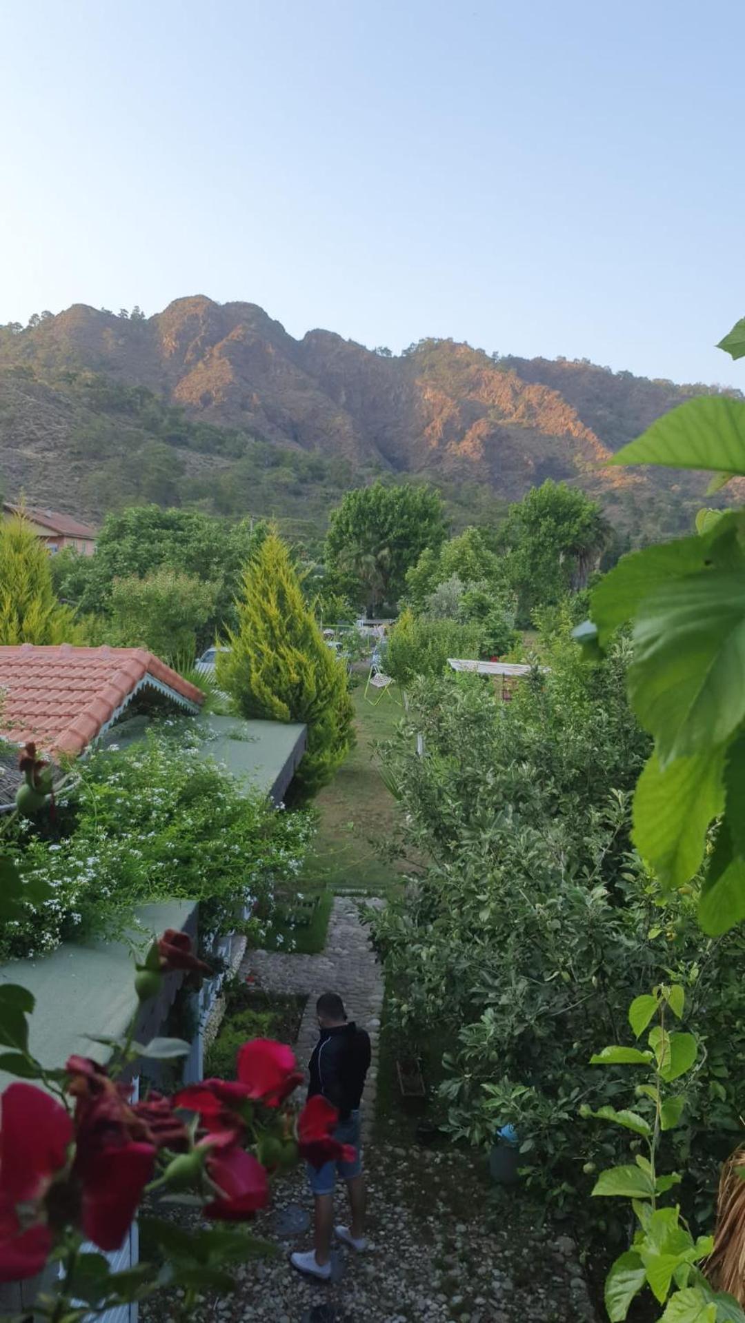 Flora Pansiyon Çıralı - Image 68