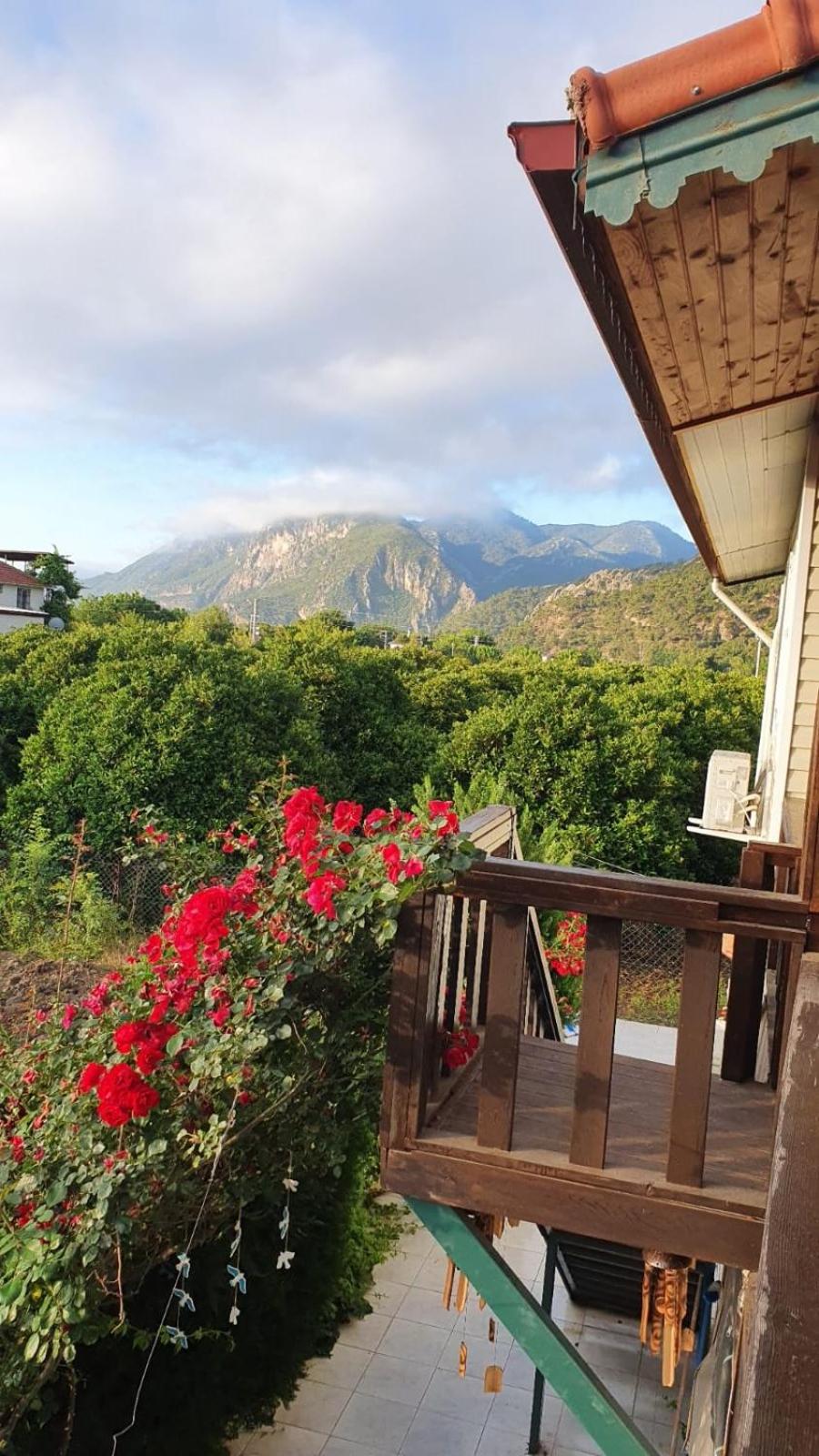 Flora Pansiyon Çıralı - Image 65