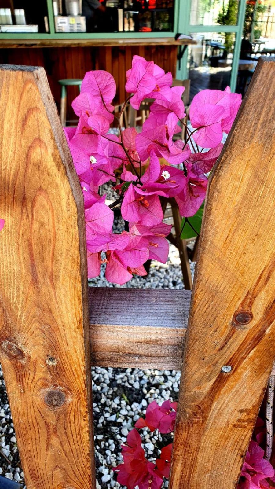 Flora Pansiyon Çıralı - Image 64