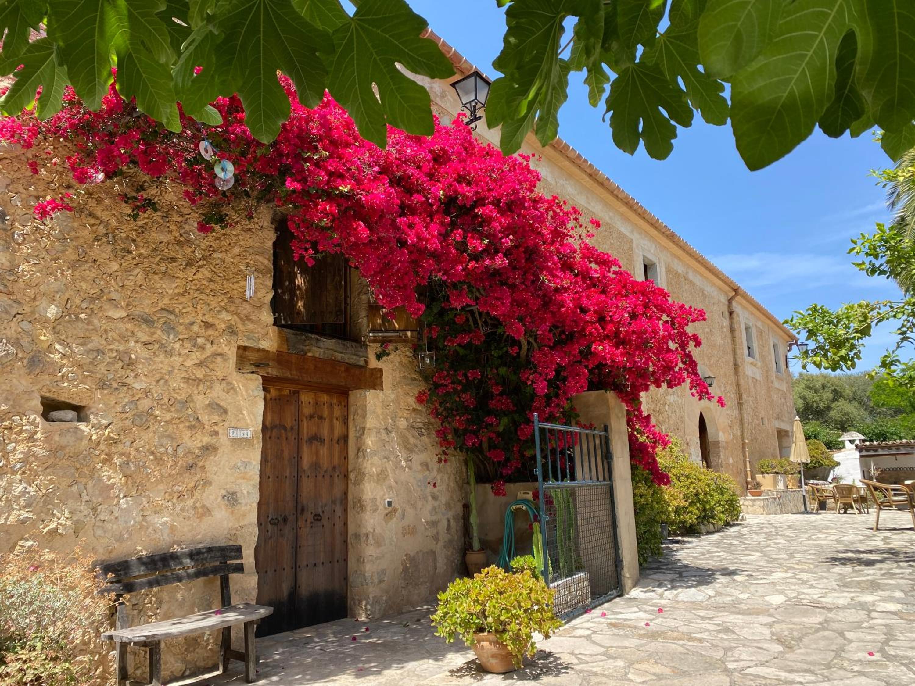 Agroturismo Can Guillo view 2