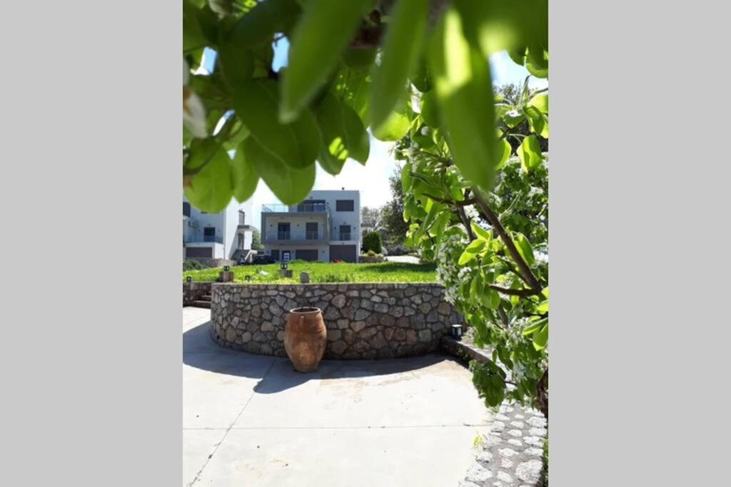 Oak Tree Cozy Apartment view 2
