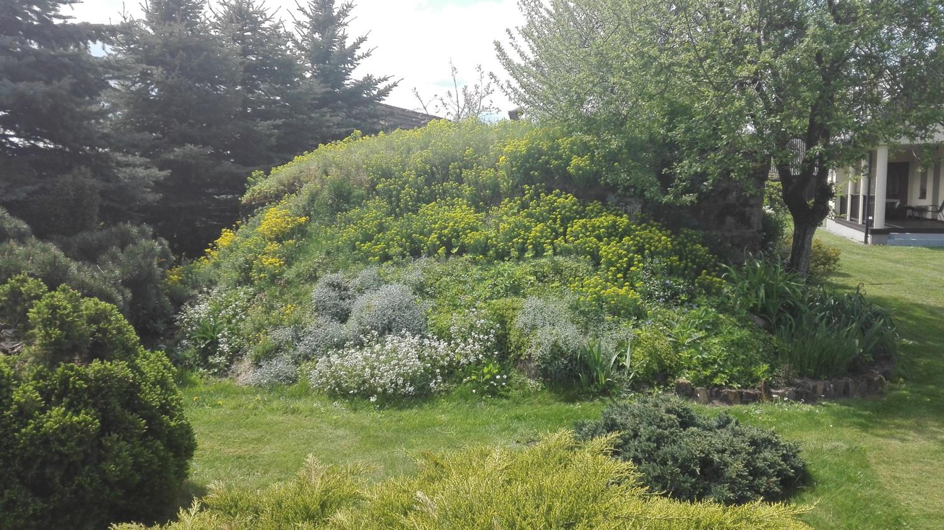 Photo 26