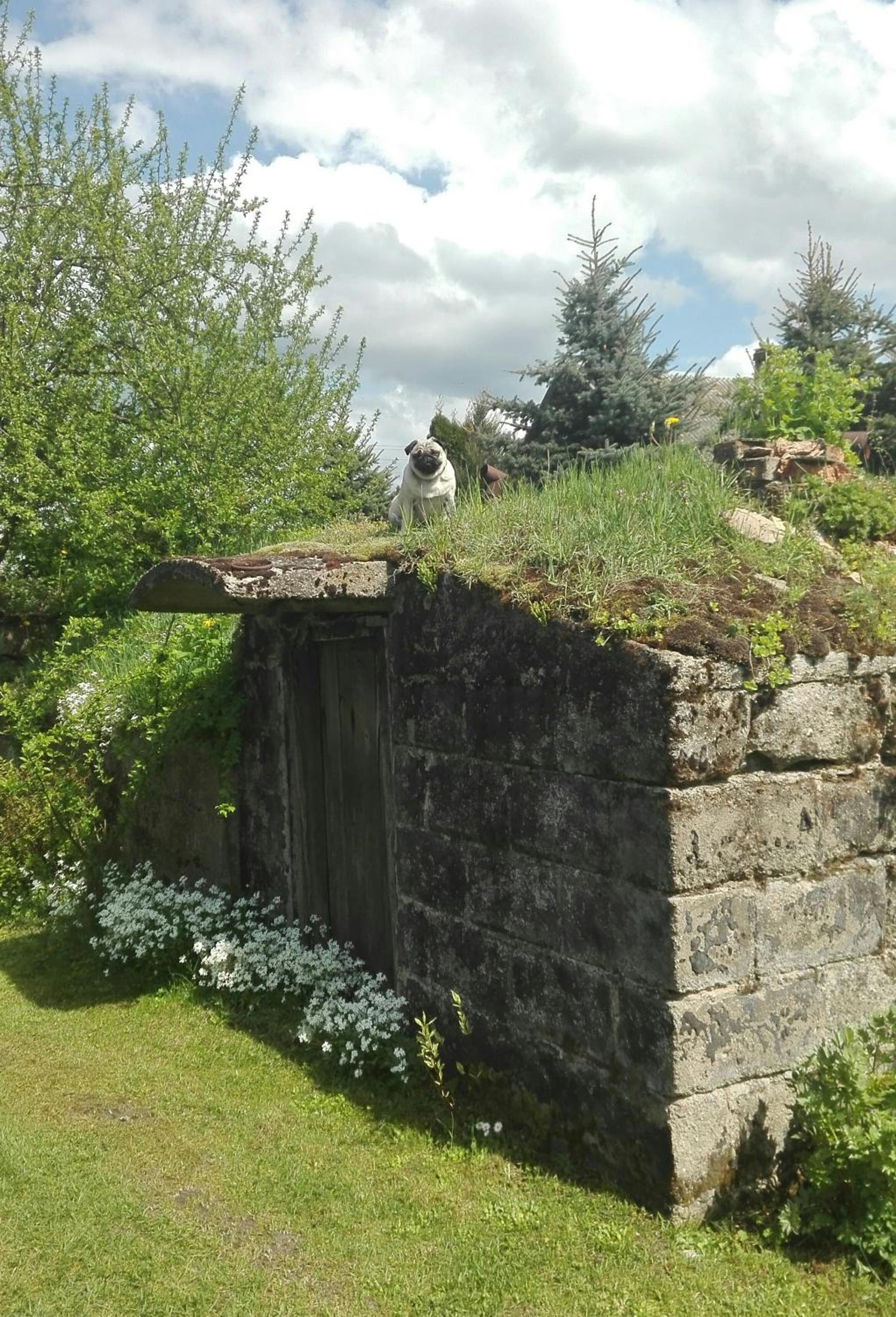 Photo 29