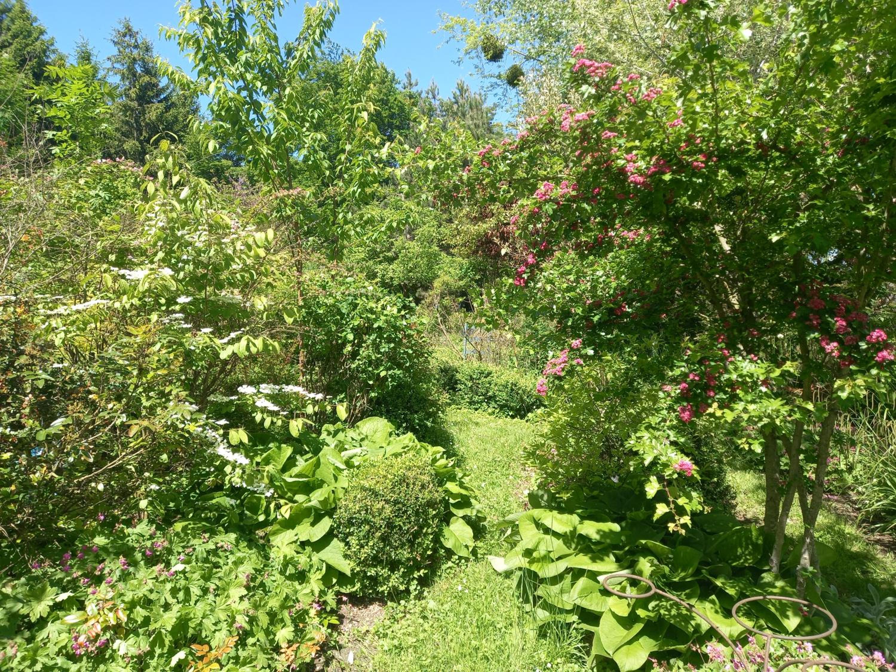Photo 47