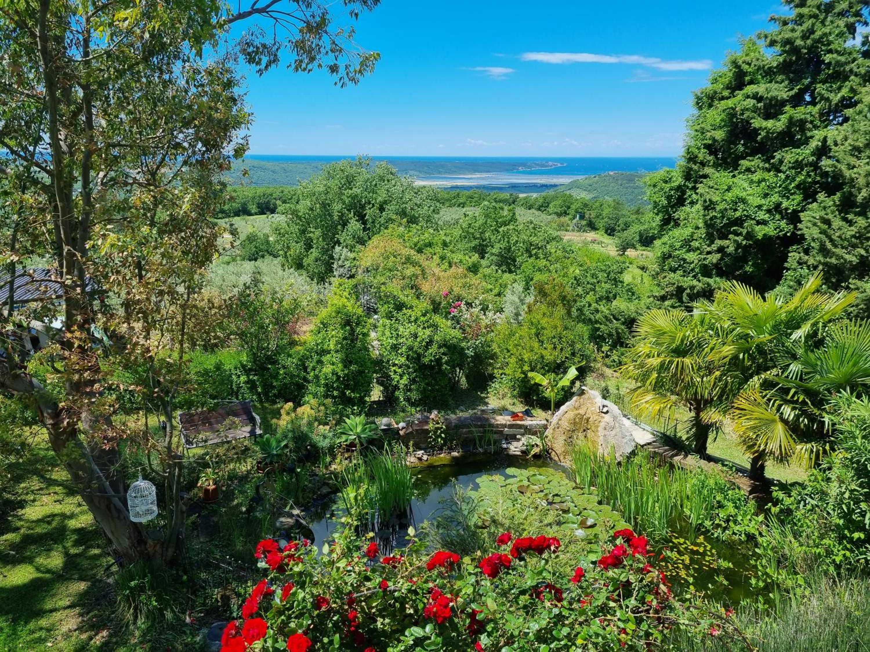 Garden apartment view 2
