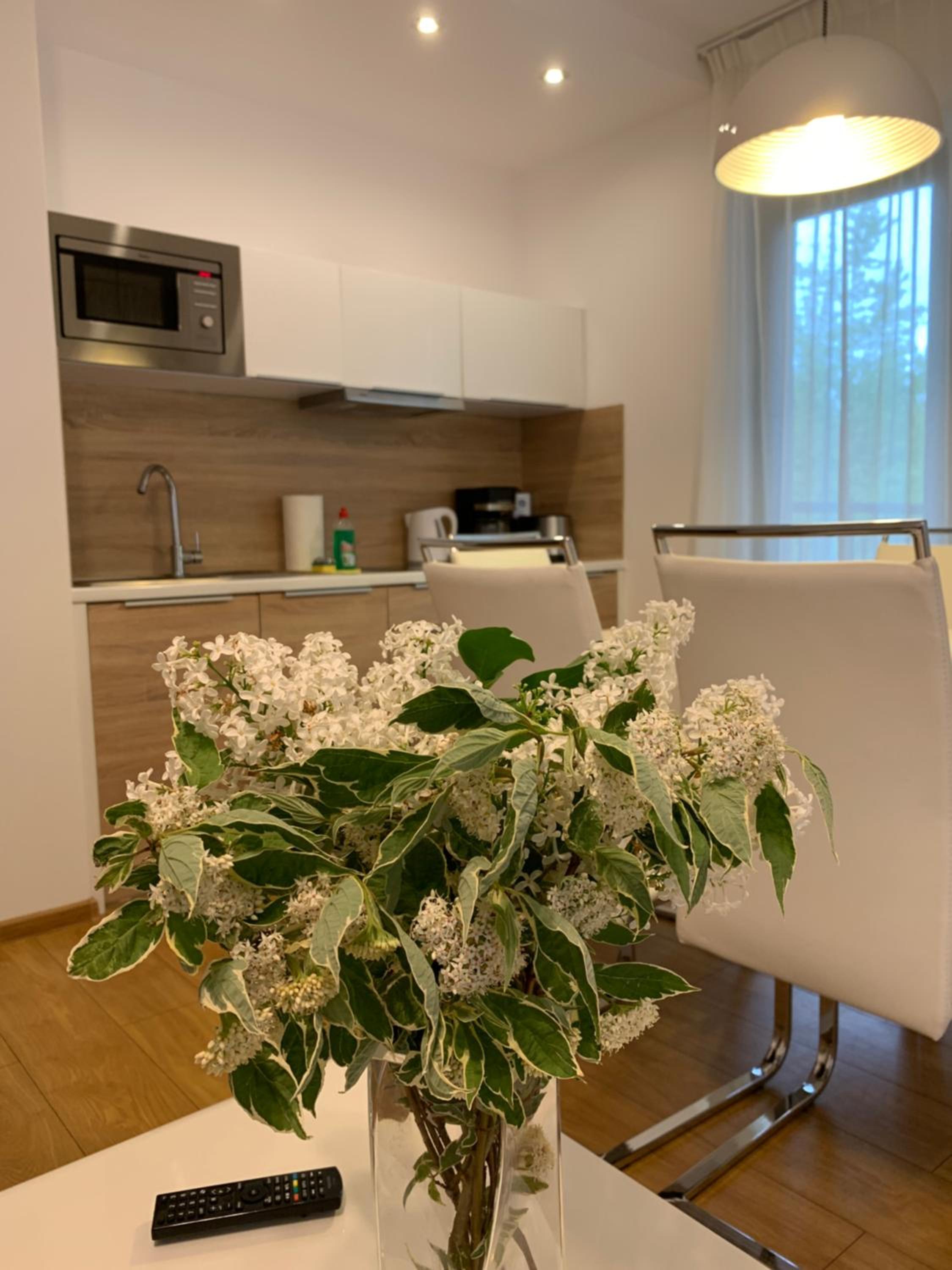 Apartament Mondi Kai I - idealny na pobyt w górach view 4