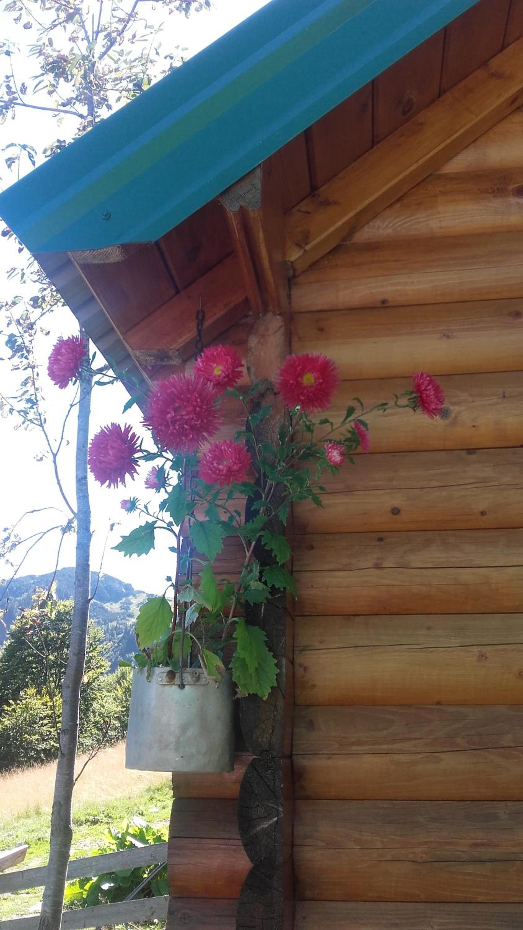 Raković Katun photo 5