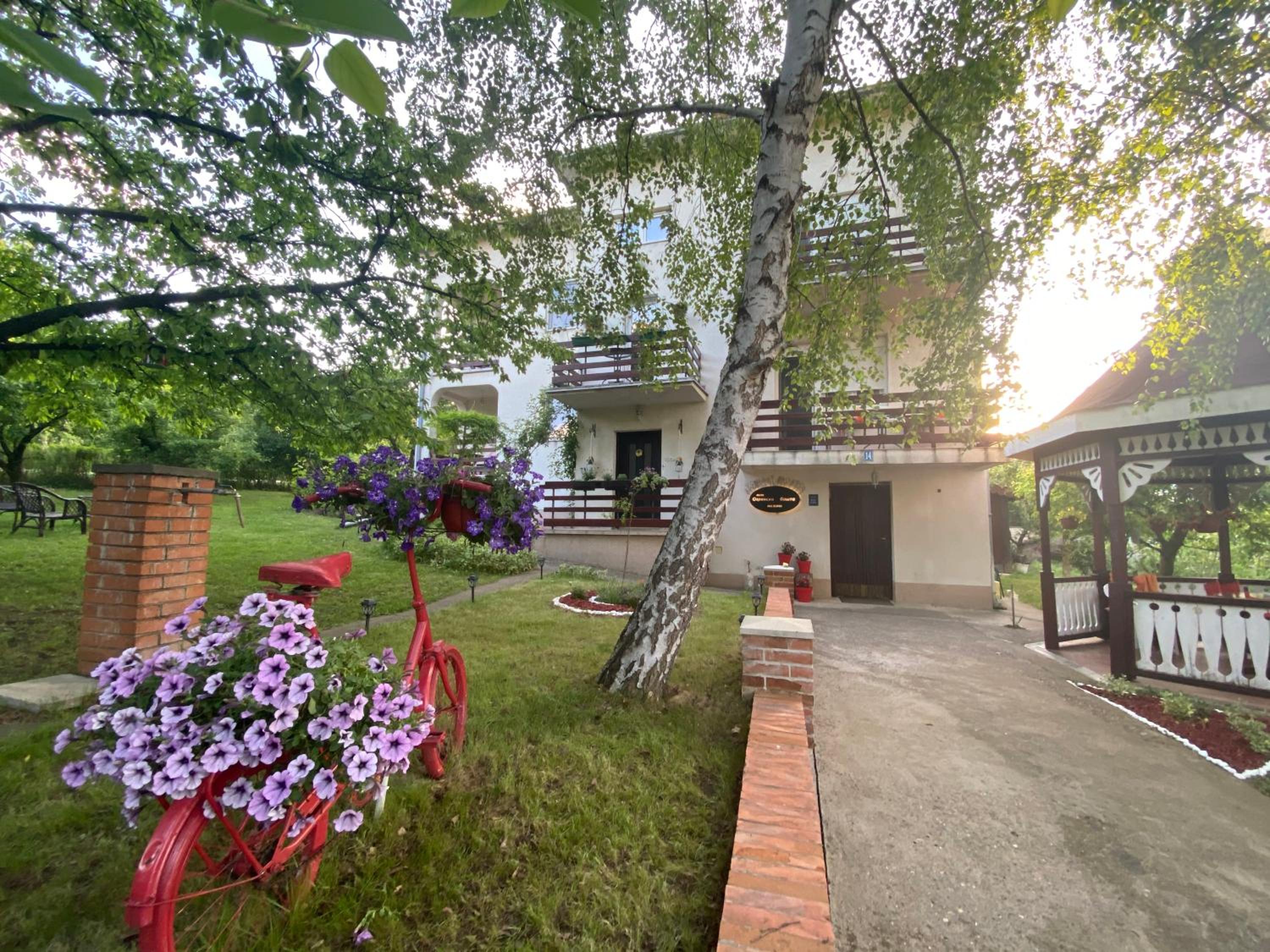 Ozrenska Bašta Apartments view 3