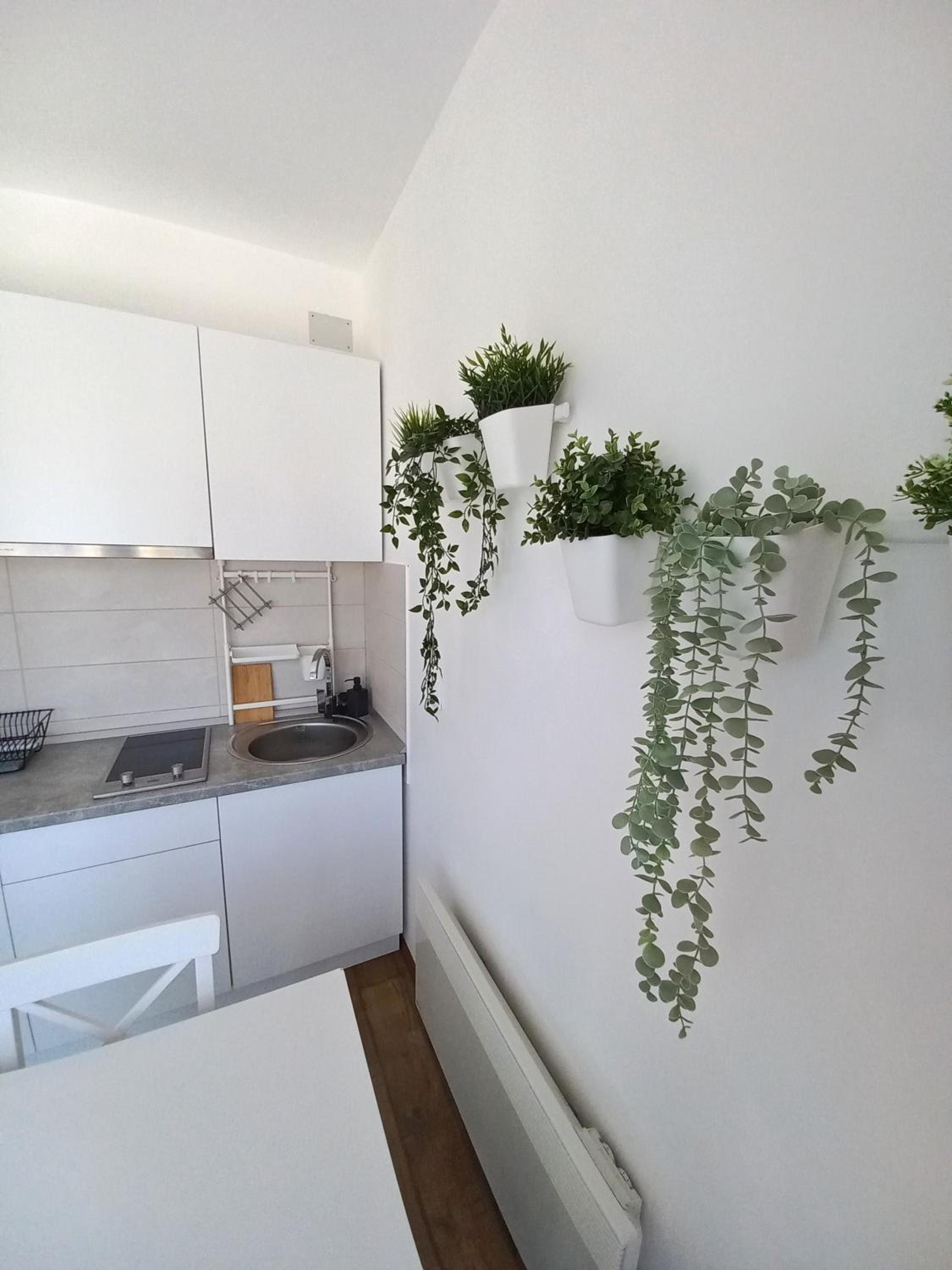 Apartman Kaćun - Divčibare view 3