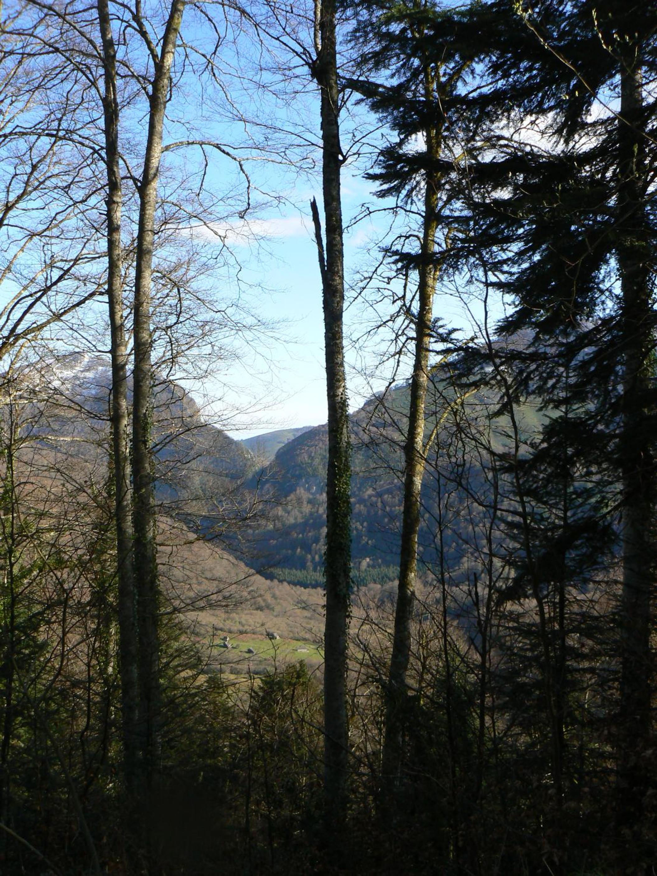 Photo 20