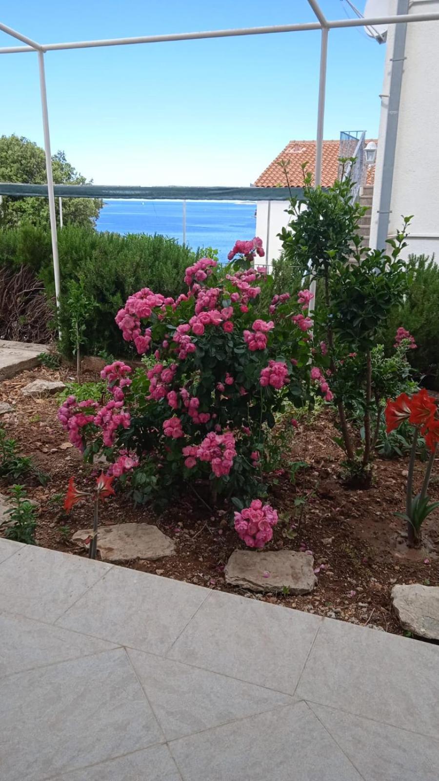 Apartment Ante view 4
