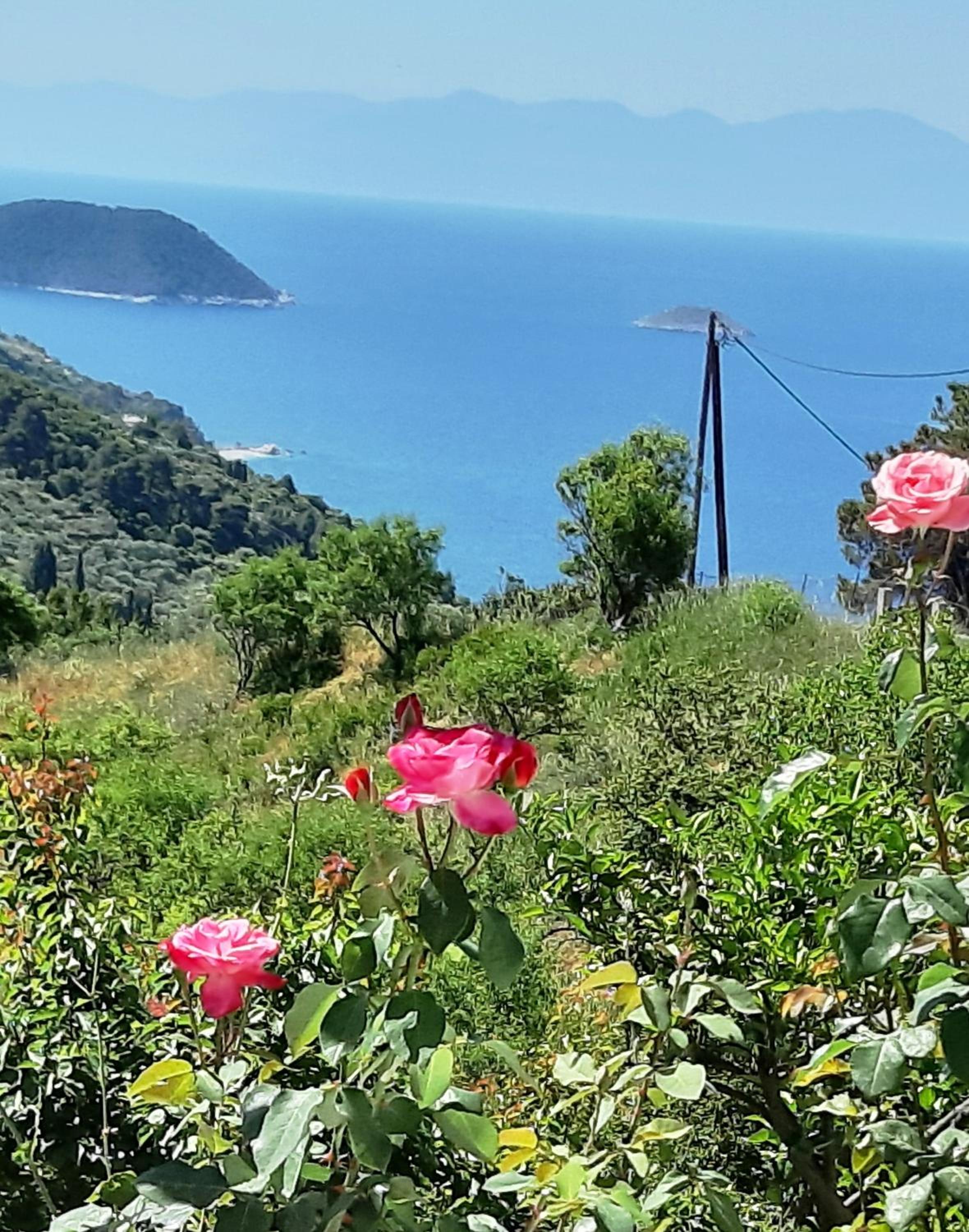 Villa Lemonia view 2