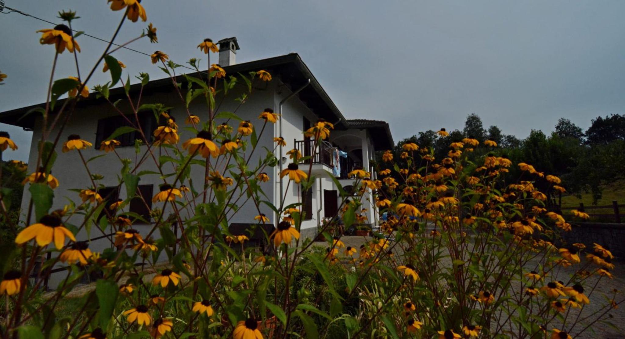 Favetto Family Ranch view 4