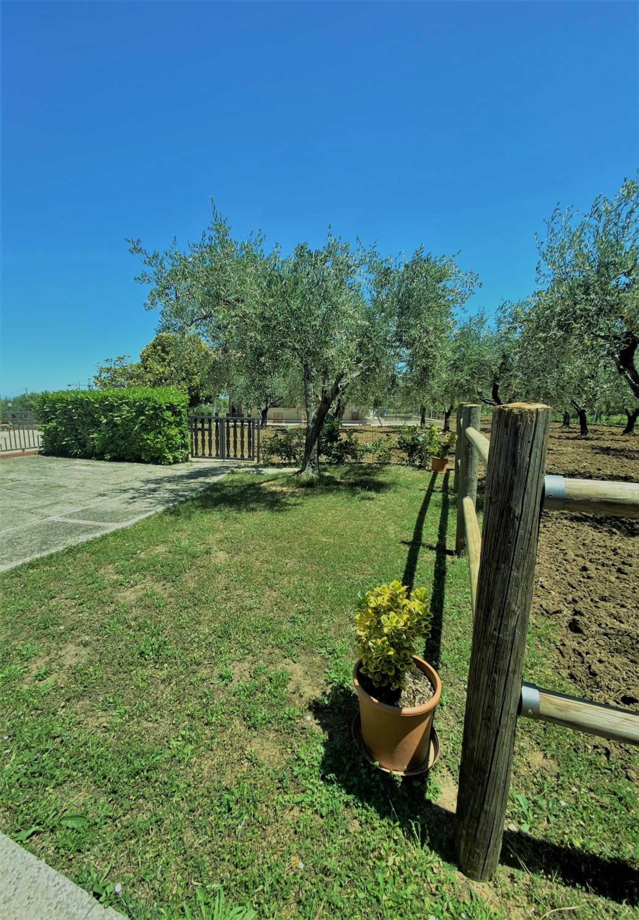 Tenuta Del Casale photo 3