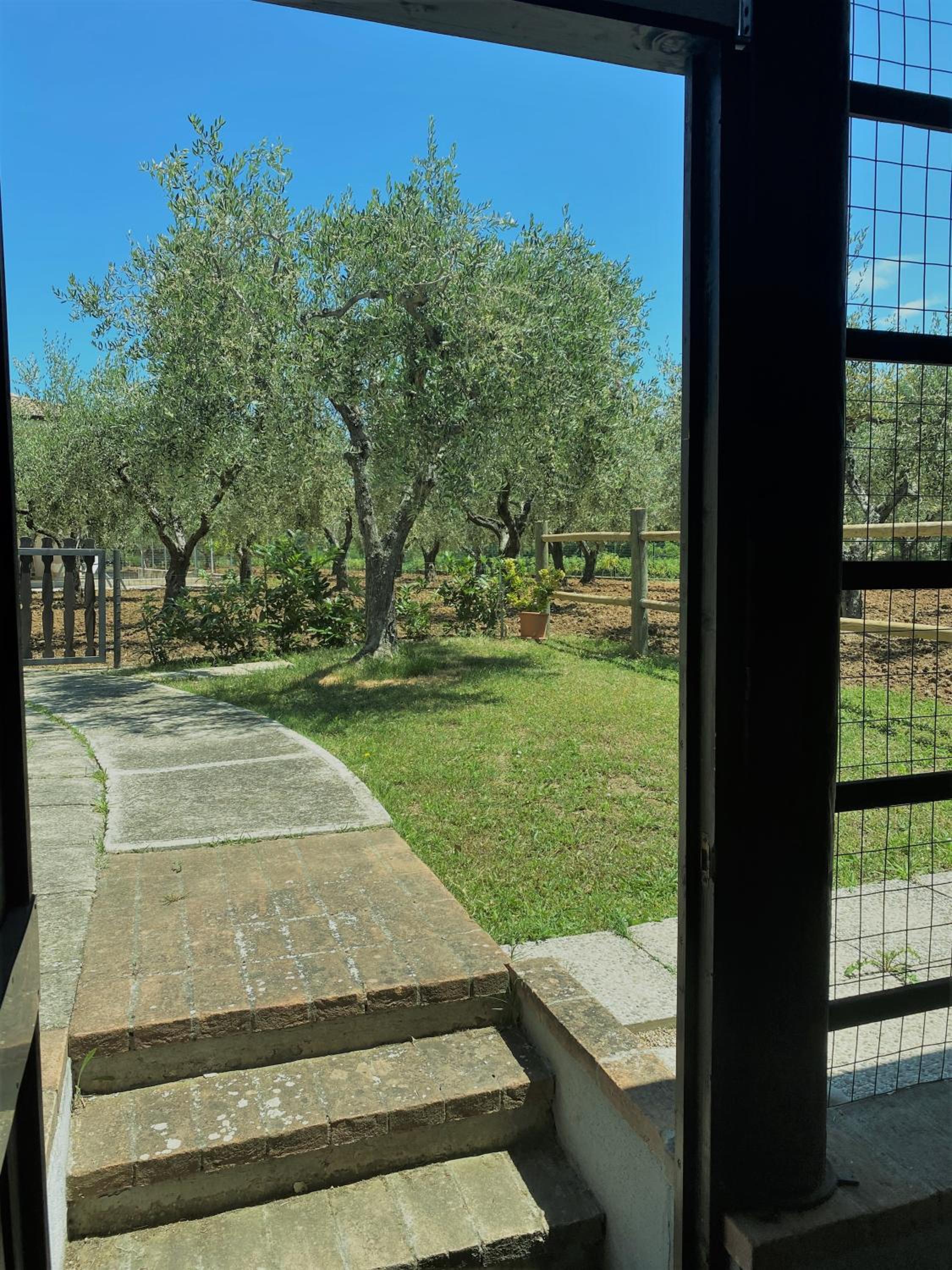 Tenuta Del Casale photo 4