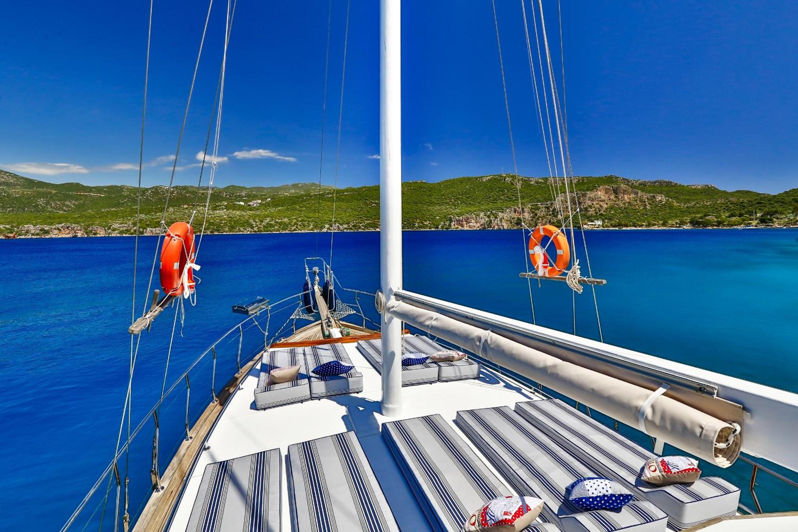 Blue Cruise view 5
