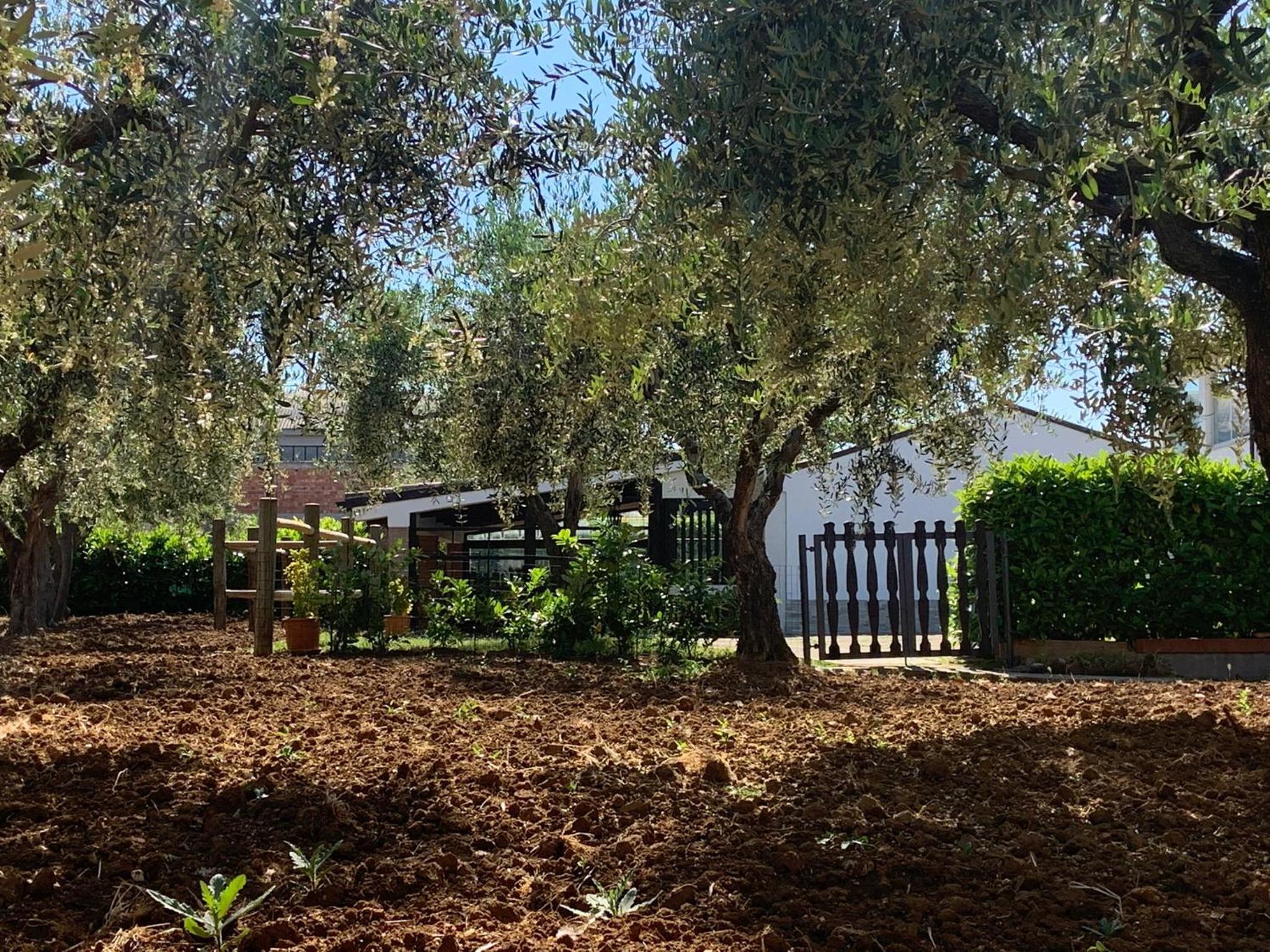 Tenuta Del Casale photo 5