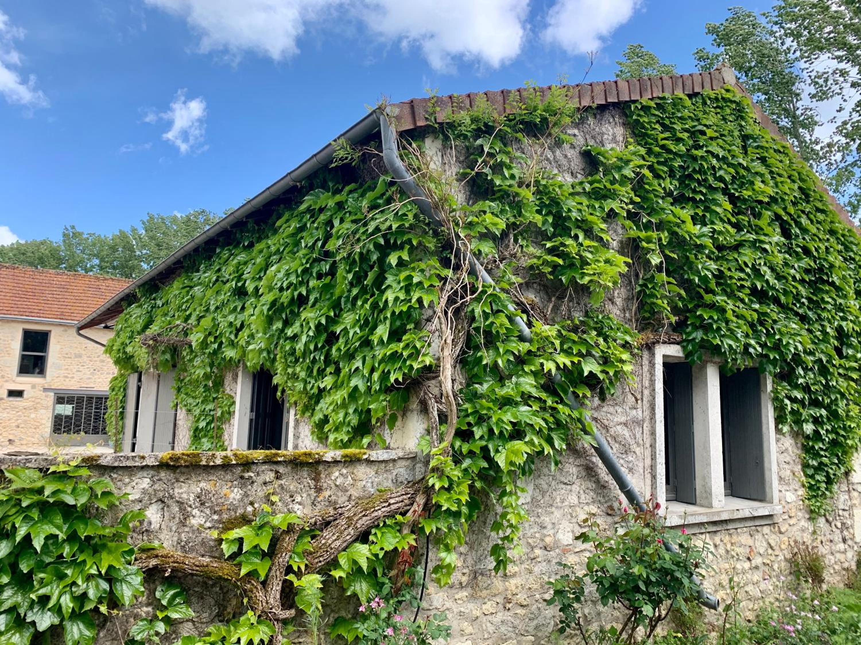 Photo 18