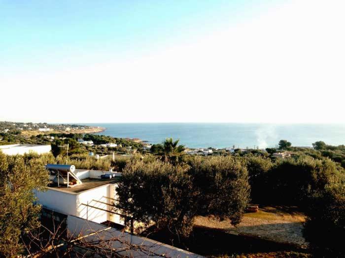 La Mennula Garden view 5