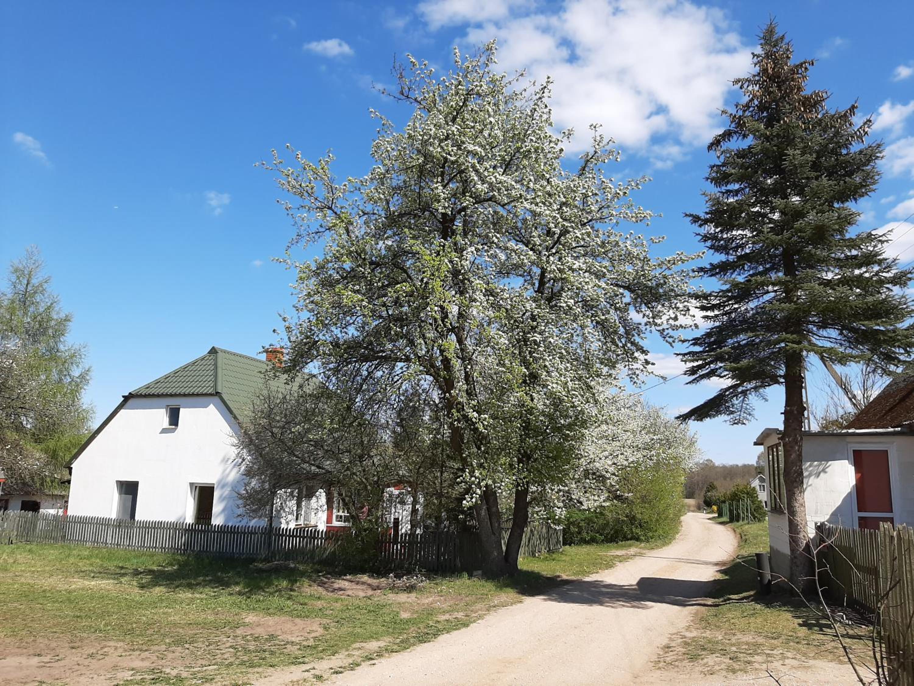 Photo 25