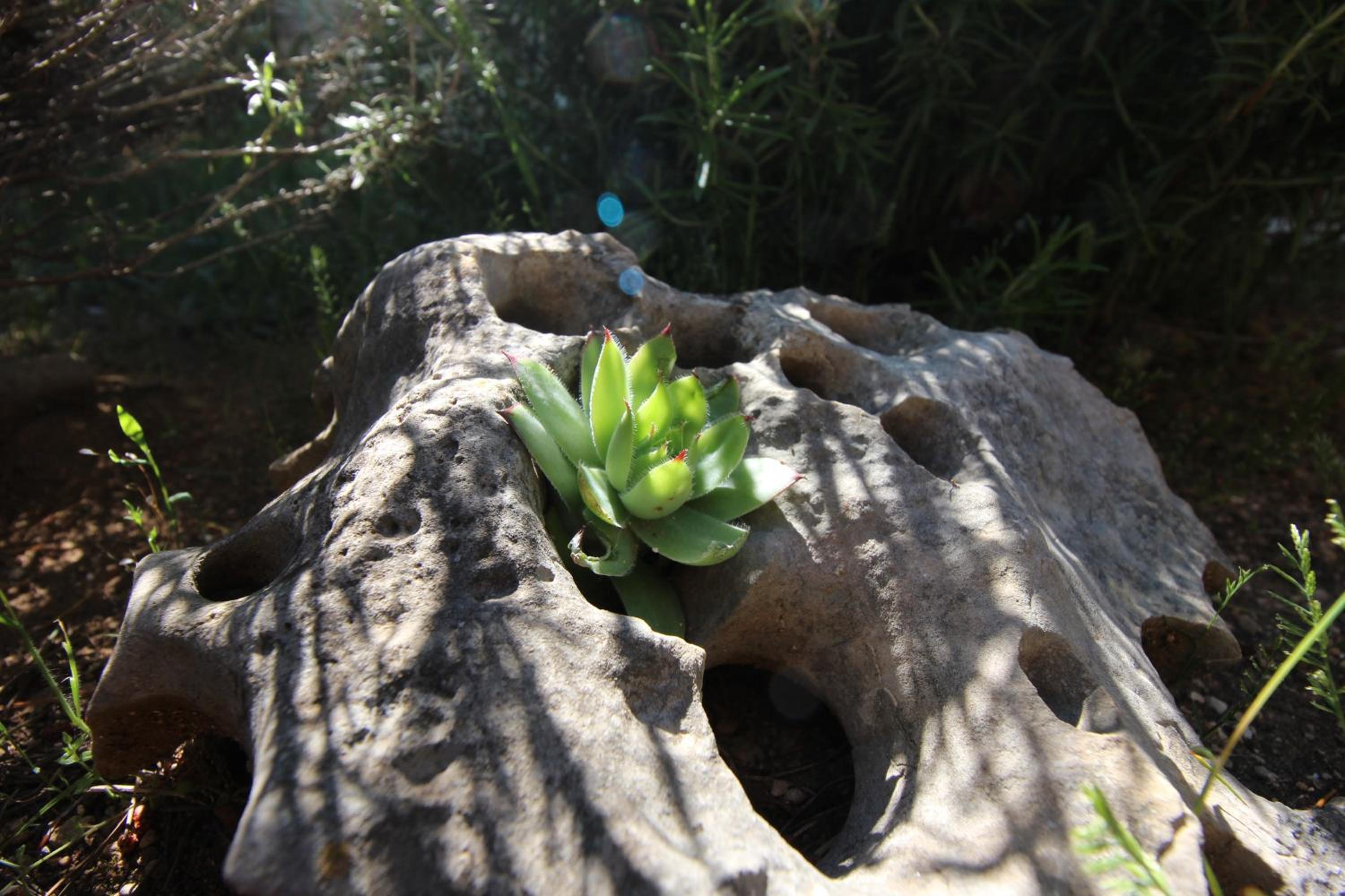 Photo 22